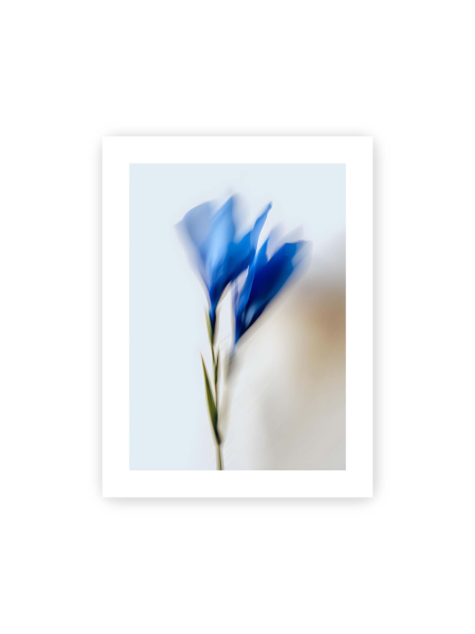 30x40 cm, weißer Galerie-Rand – Verschwommene blaue Blütenblätter in sanften Bewegungen vor einem hellen Hintergrund.