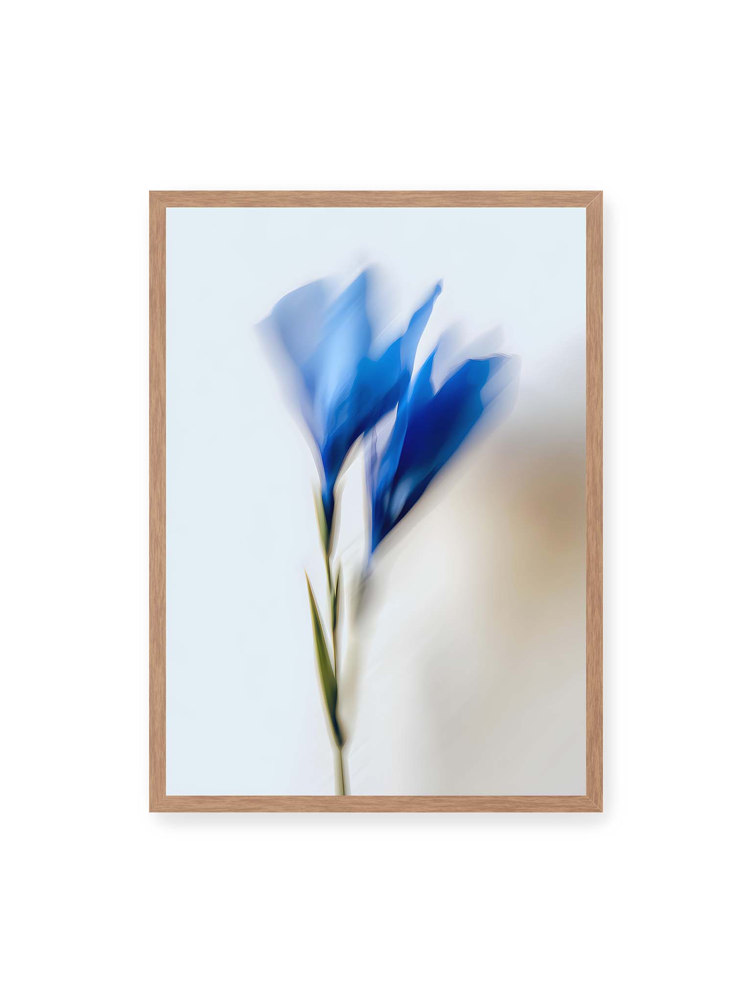 50x70 cm, Eichenrahmen – Verschwommene blaue Blütenblätter in sanften Bewegungen vor einem hellen Hintergrund.