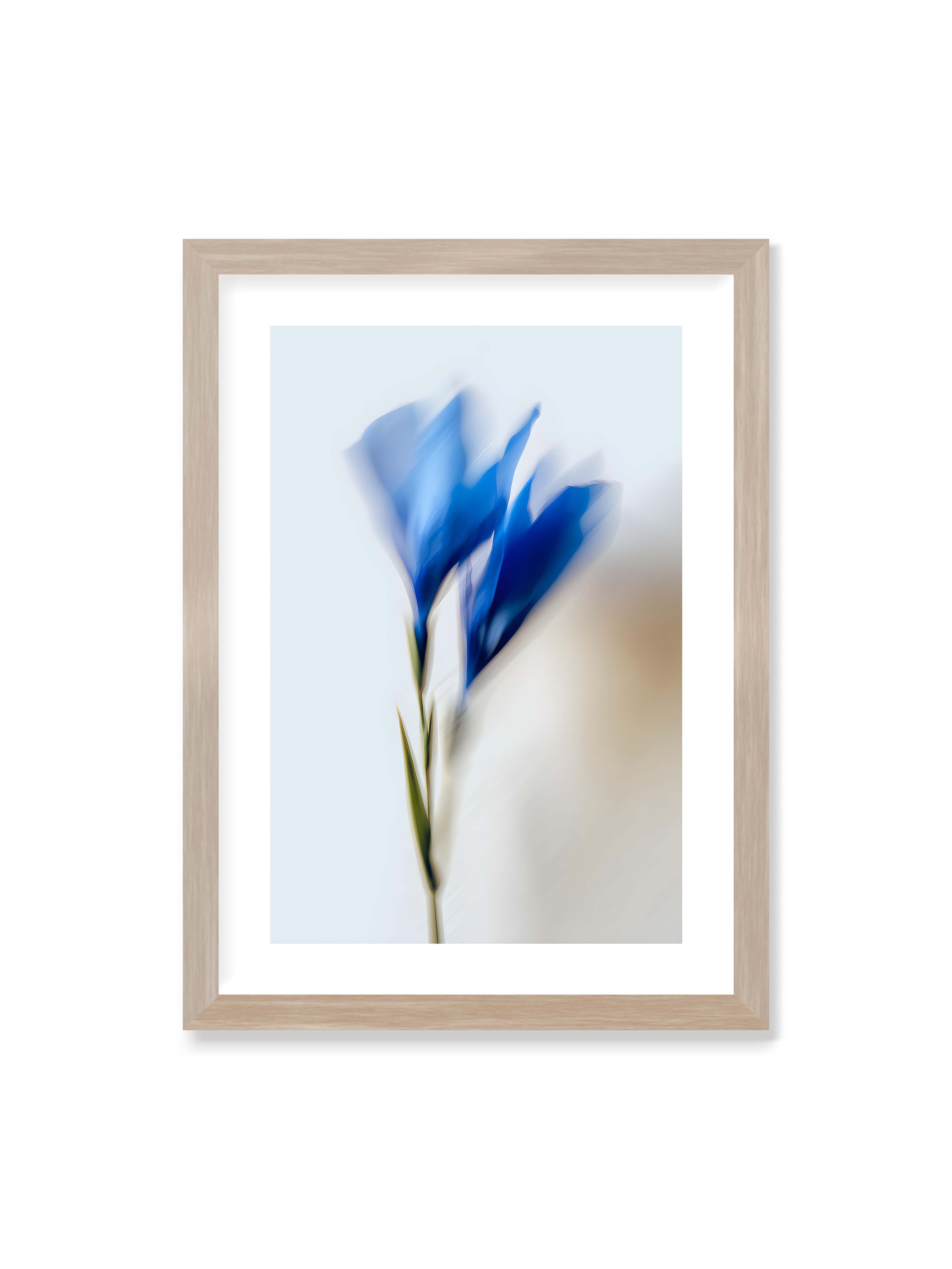 50x70 cm mit weißem Galerie-Rand im Eichenrahmen – Verschwommene blaue Blütenblätter in sanften Bewegungen vor einem hellen Hintergrund.