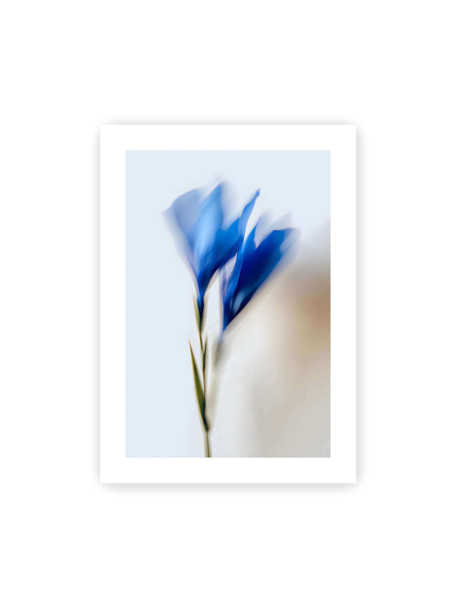 50x70 cm, weißer Galerie-Rand – Verschwommene blaue Blütenblätter in sanften Bewegungen vor einem hellen Hintergrund.