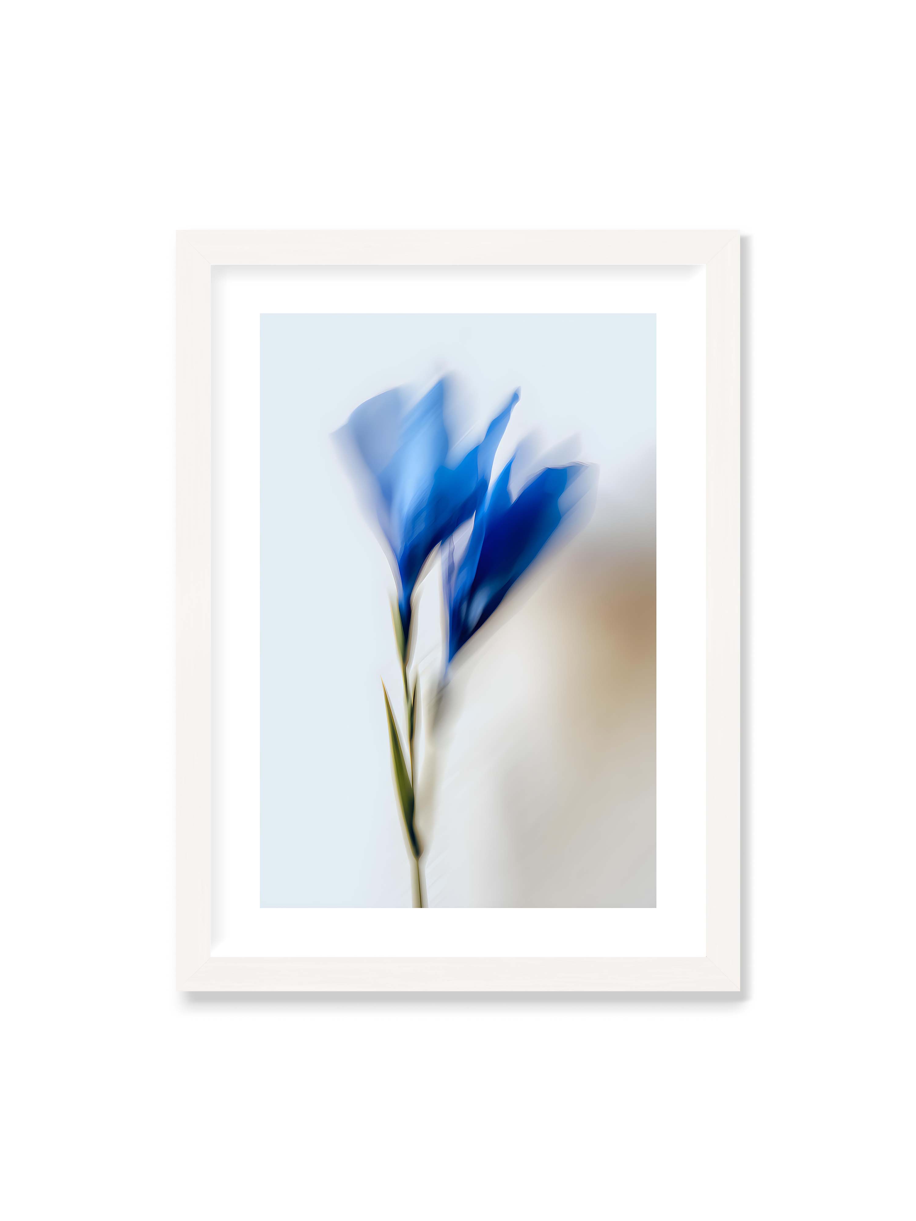 50x70 cm mit weißem Galerie-Rand mit weißem Rahmen – Verschwommene blaue Blütenblätter in sanften Bewegungen vor einem hellen Hintergrund.