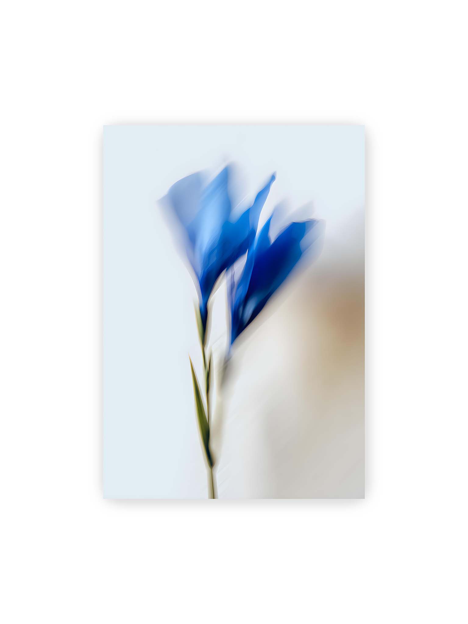 70x100 cm – Verschwommene blaue Blütenblätter in sanften Bewegungen vor einem hellen Hintergrund.
