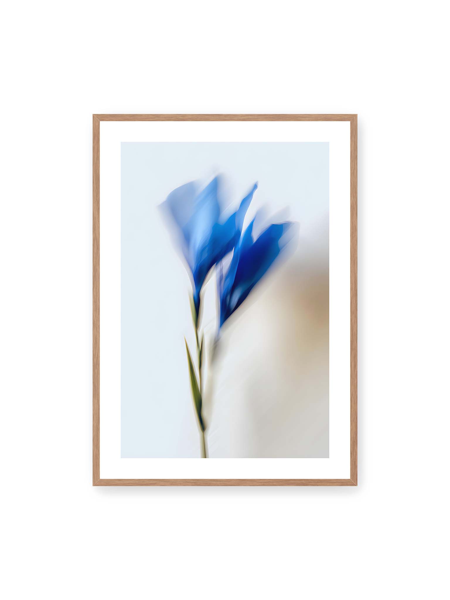 70x100 cm, weißer Galerie-Rand, Eichenrahmen – Verschwommene blaue Blütenblätter in sanften Bewegungen vor einem hellen Hintergrund.