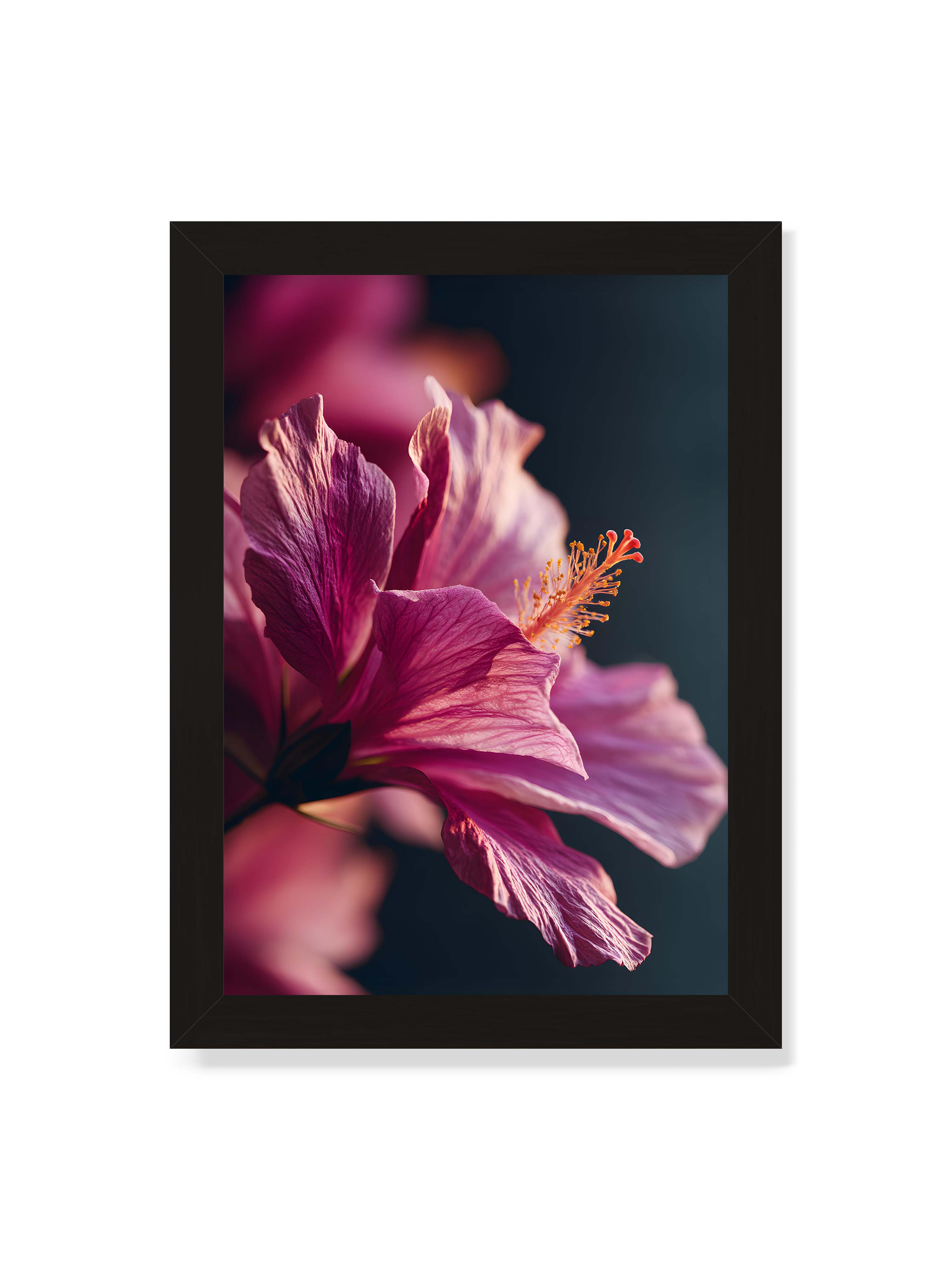 21x30 cm ohne Galerie-Rand mit schwarzem Rahmen – Nahaufnahme einer magentafarbenen Hibiskusblüte mit goldenem Blütenstempel vor dunklem Hintergrund.