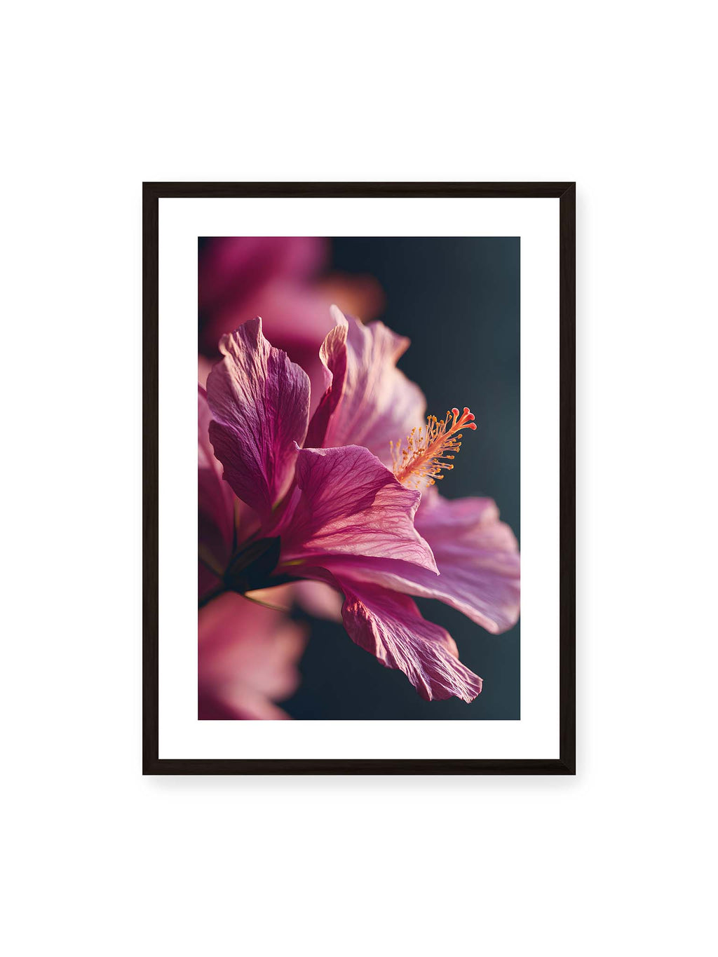 Magenta Light Reverie