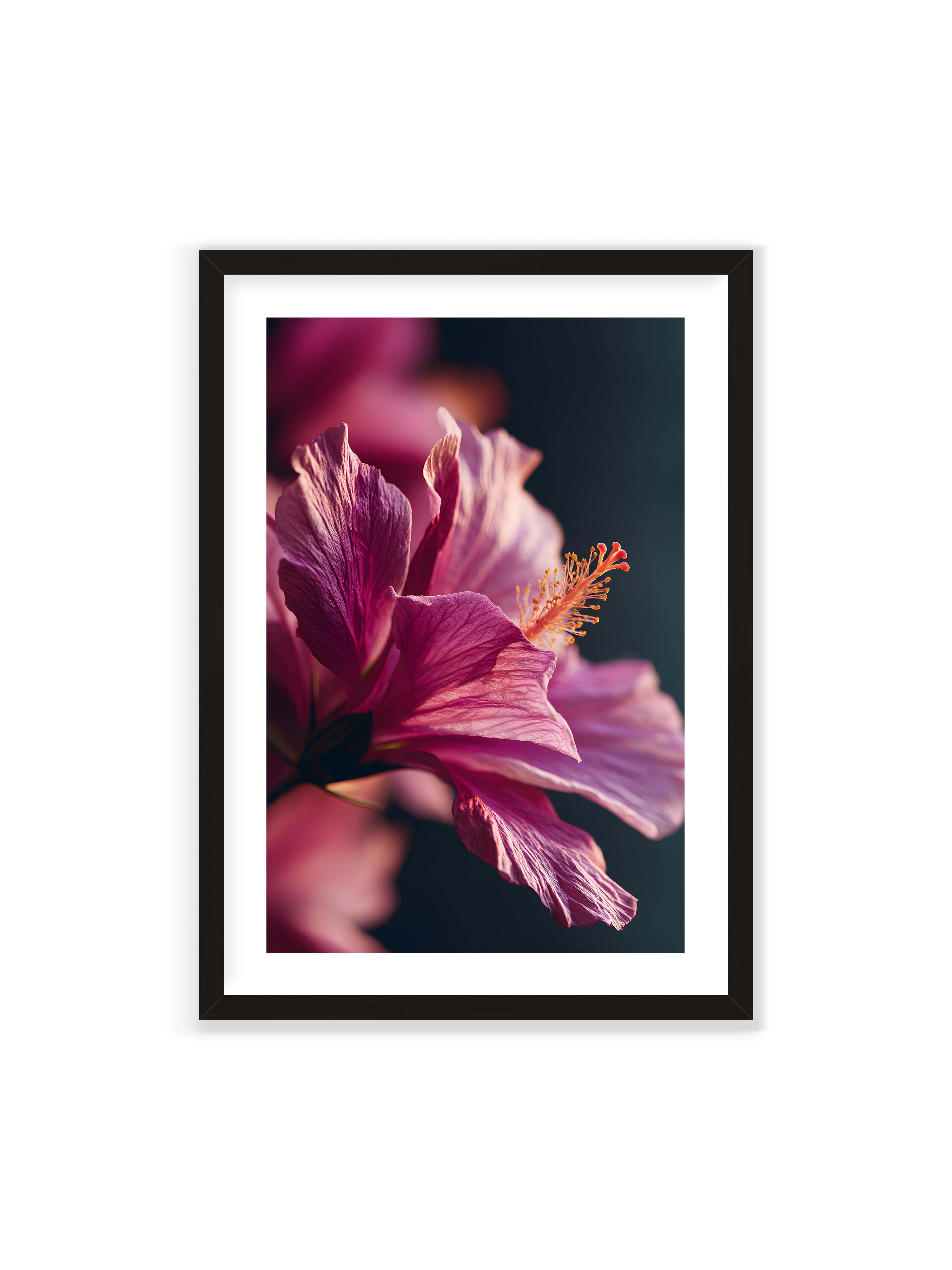 Magenta Light Reverie