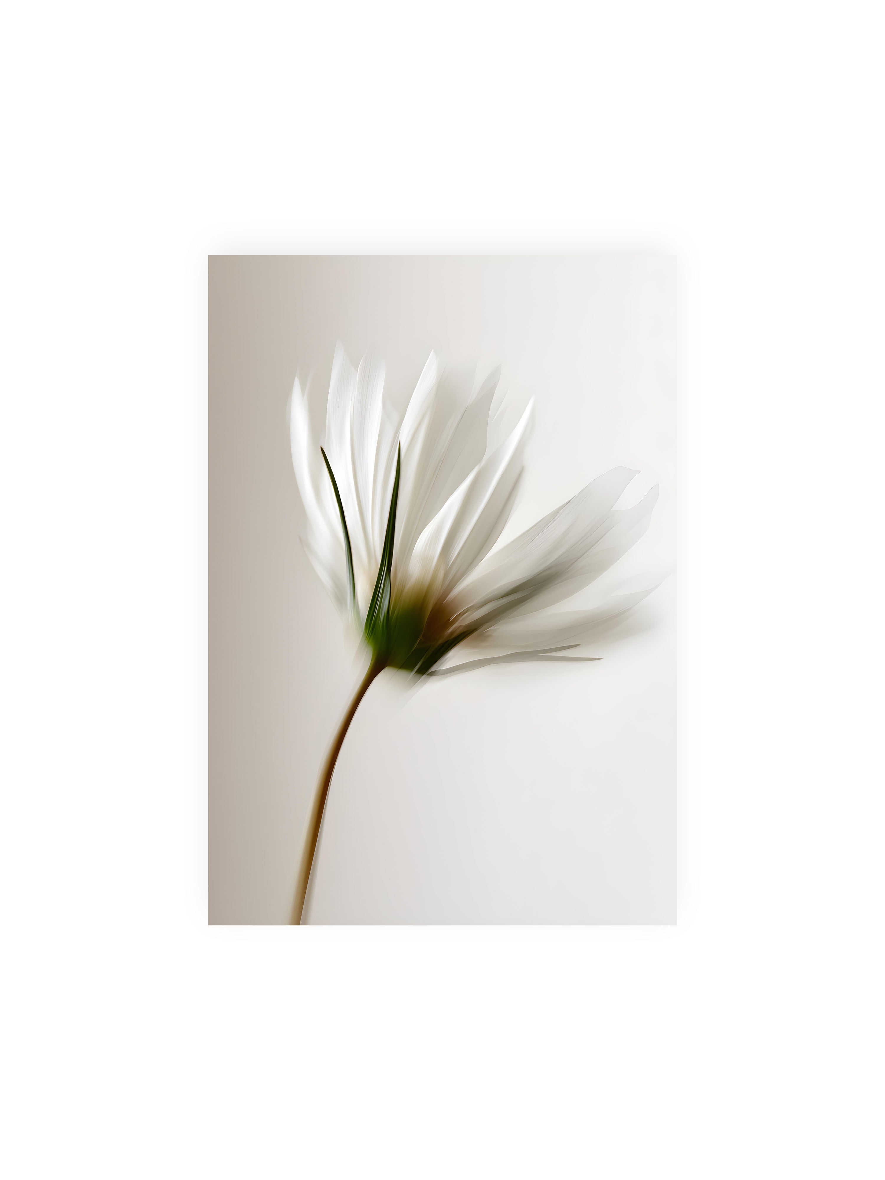 21x30 cm ohne Galerie-Rand ohne Rahmen – Weiße Blüte mit Bewegungsunschärfe und grünem Kern vor hellem, weichem Hintergrund in Hochformat.