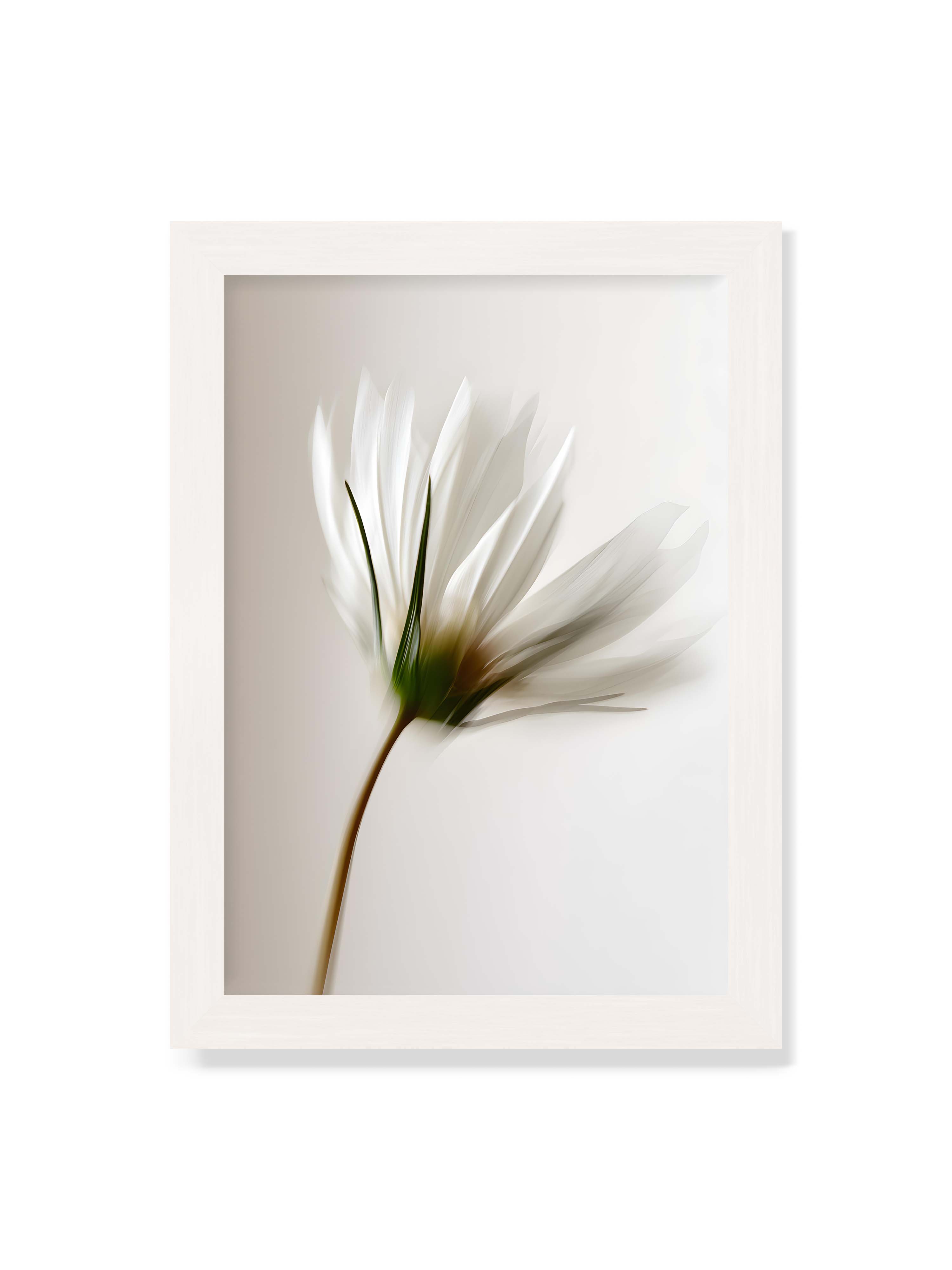 21x30 cm ohne Galerie-Rand mit weißem Rahmen – Weiße Blüte mit Bewegungsunschärfe und grünem Kern vor hellem, weichem Hintergrund in Hochformat.