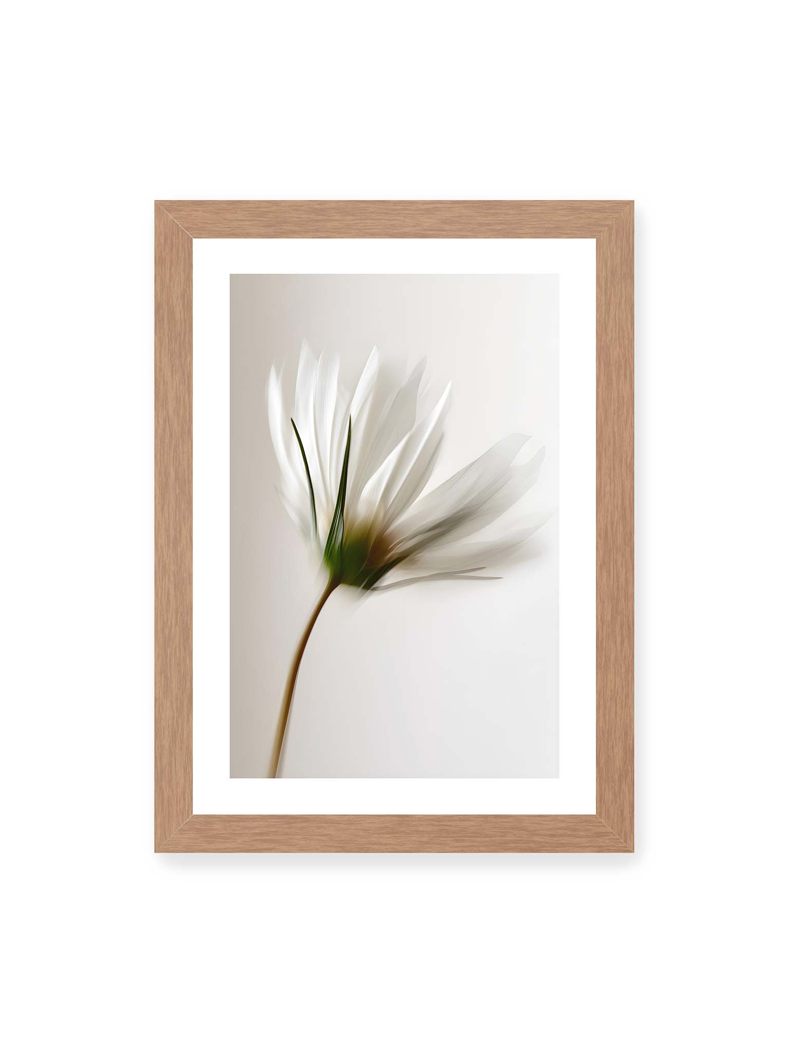 21x30 cm, weißer Galerie-Rand, Eichenrahmen – Weiße Margerite in weicher Bewegungsunschärfe auf cremefarbenem Hintergrund.