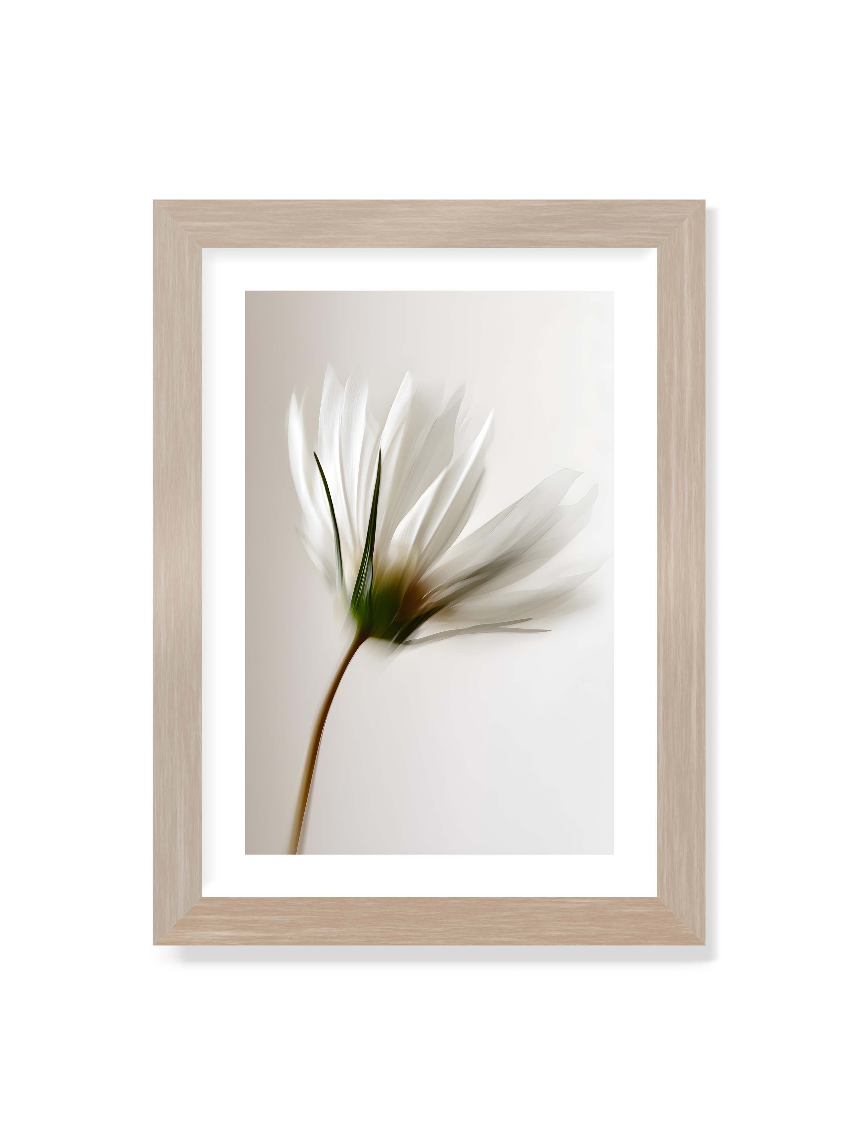 21x30 cm mit weißem Galerie-Rand im Eichenrahmen – Weiße Blüte mit Bewegungsunschärfe und grünem Kern vor hellem, weichem Hintergrund in Hochformat.