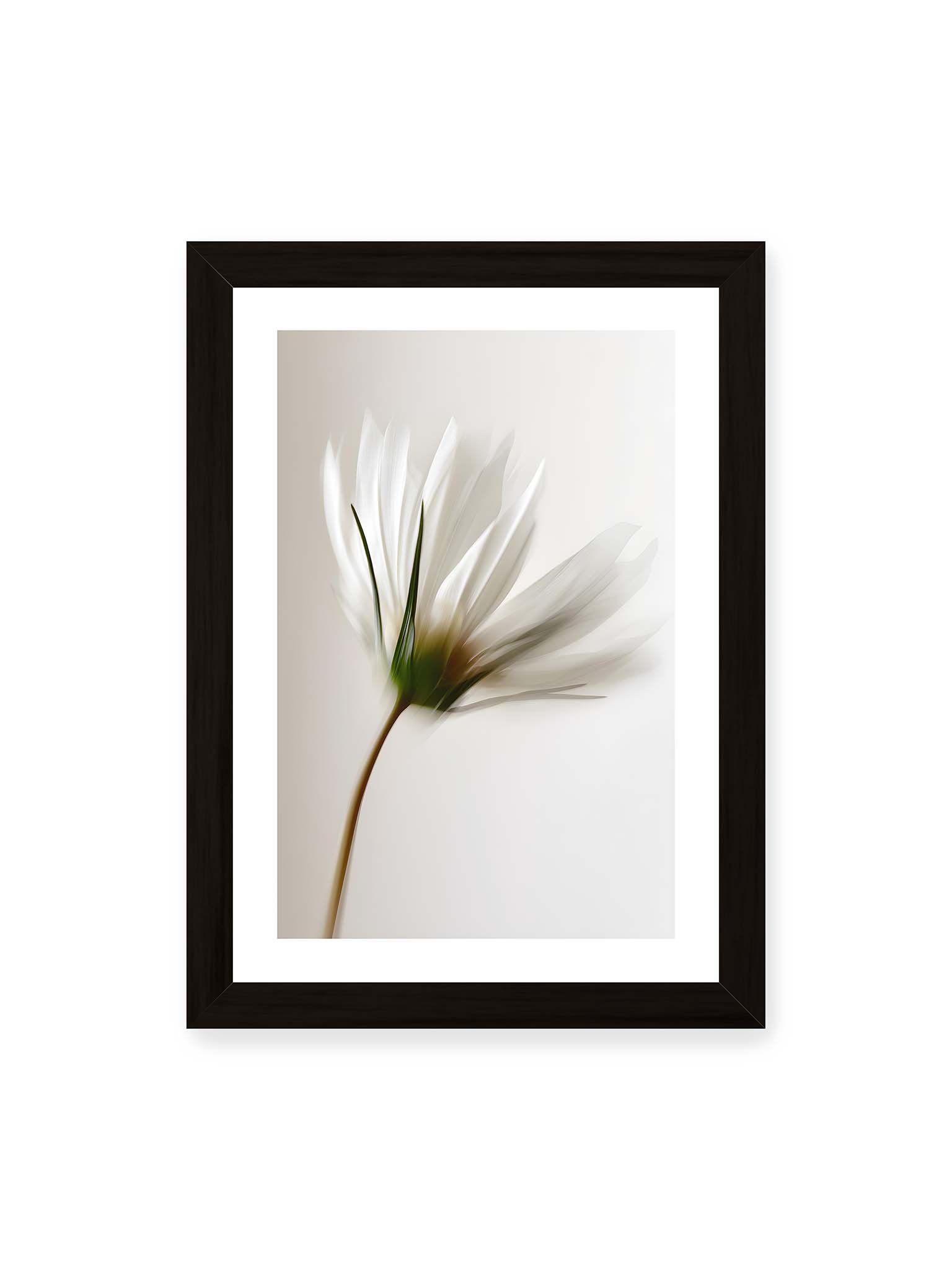 21x30 cm, weißer Galerie-Rand, schwarzer Rahmen – Weiße Margerite in weicher Bewegungsunschärfe auf cremefarbenem Hintergrund.