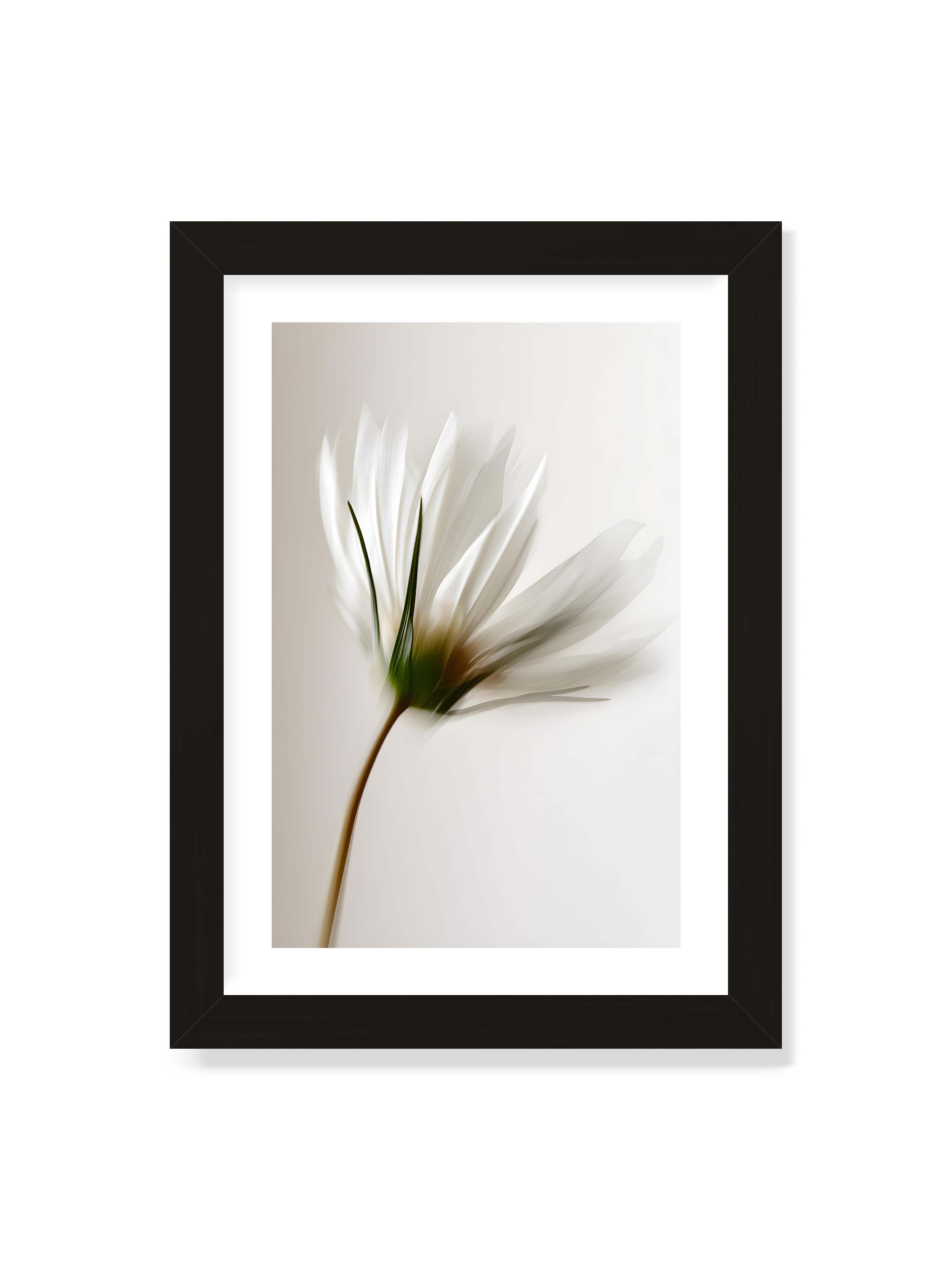 21x30 cm mit weißem Galerie-Rand mit schwarzem Rahmen – Weiße Blüte mit Bewegungsunschärfe und grünem Kern vor hellem, weichem Hintergrund in Hochformat.