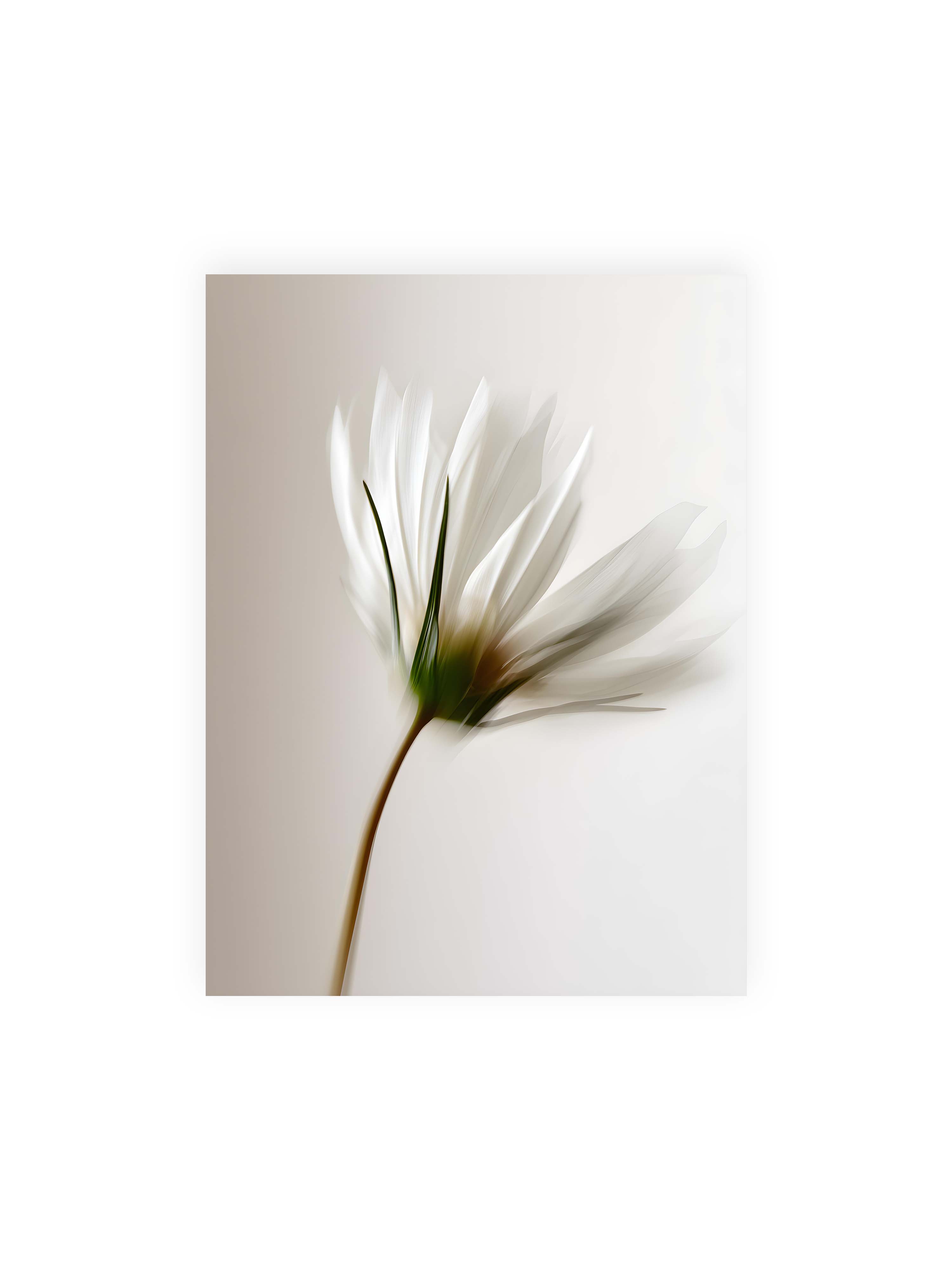 30x40 cm ohne Galerie-Rand ohne Rahmen – Weiße Blüte mit Bewegungsunschärfe und grünem Kern vor hellem, weichem Hintergrund in Hochformat.
