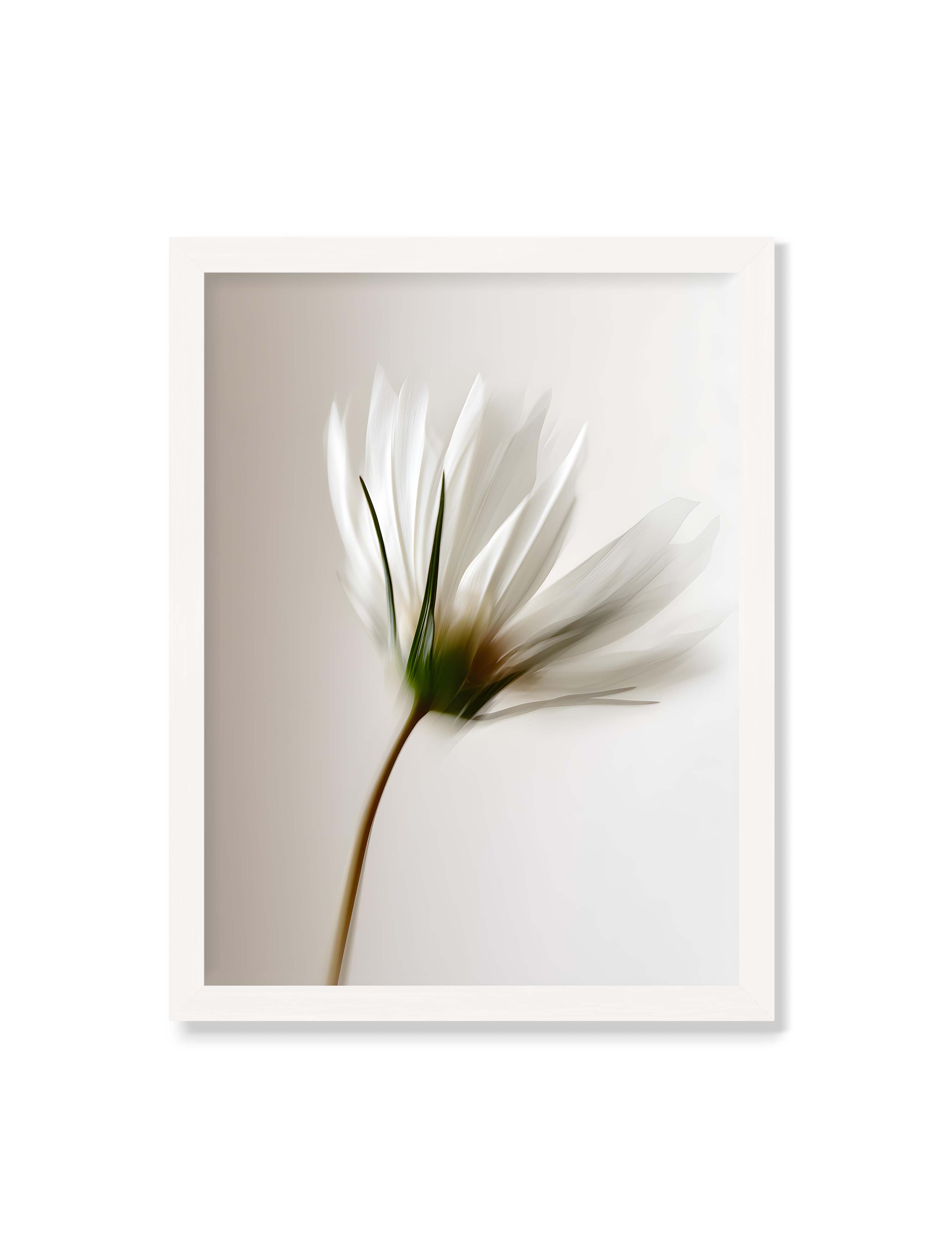 30x40 cm ohne Galerie-Rand mit weißem Rahmen – Weiße Blüte mit Bewegungsunschärfe und grünem Kern vor hellem, weichem Hintergrund in Hochformat.