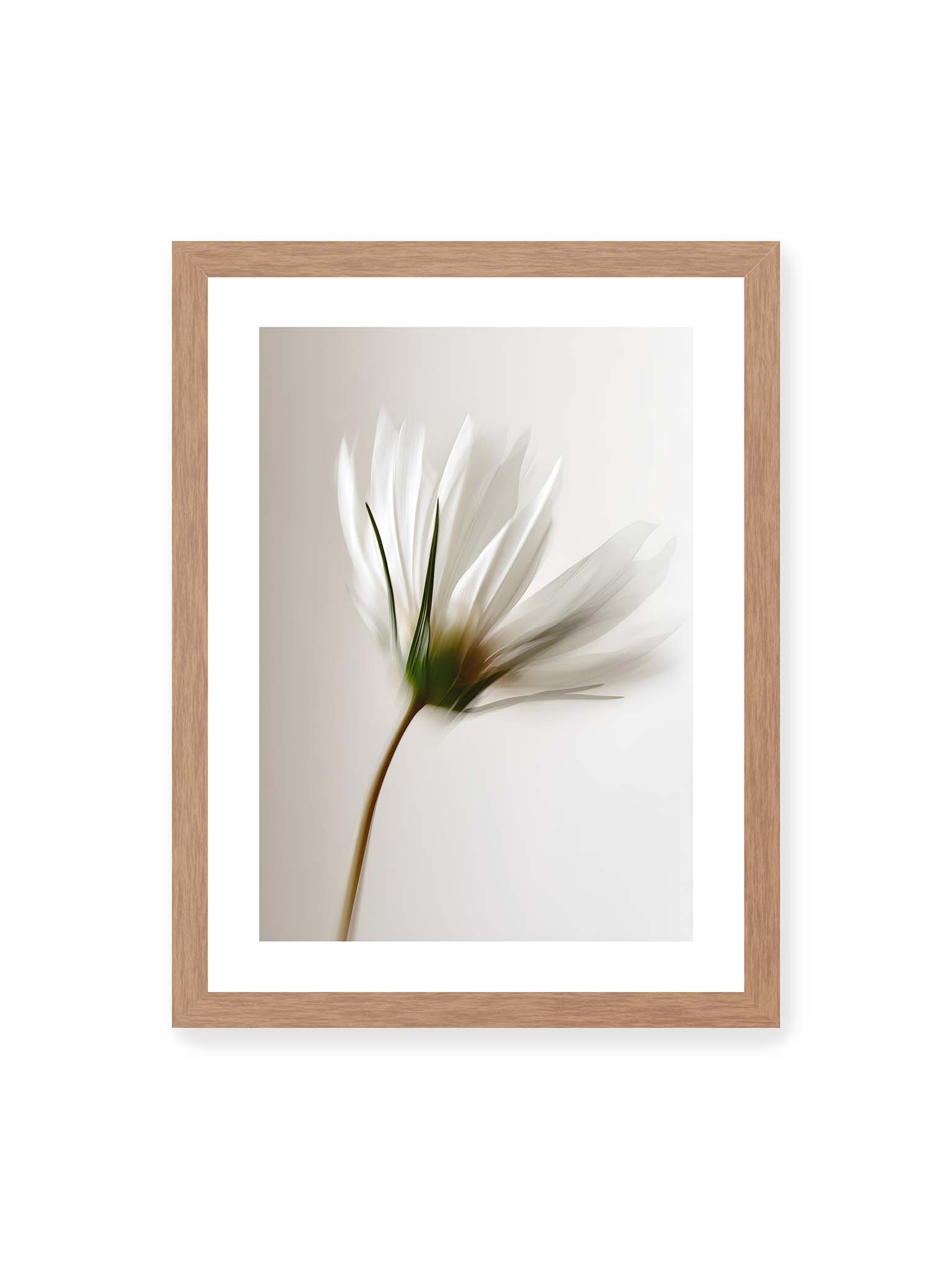 30x40 cm, weißer Galerie-Rand, Eichenrahmen – Weiße Margerite in weicher Bewegungsunschärfe auf cremefarbenem Hintergrund.