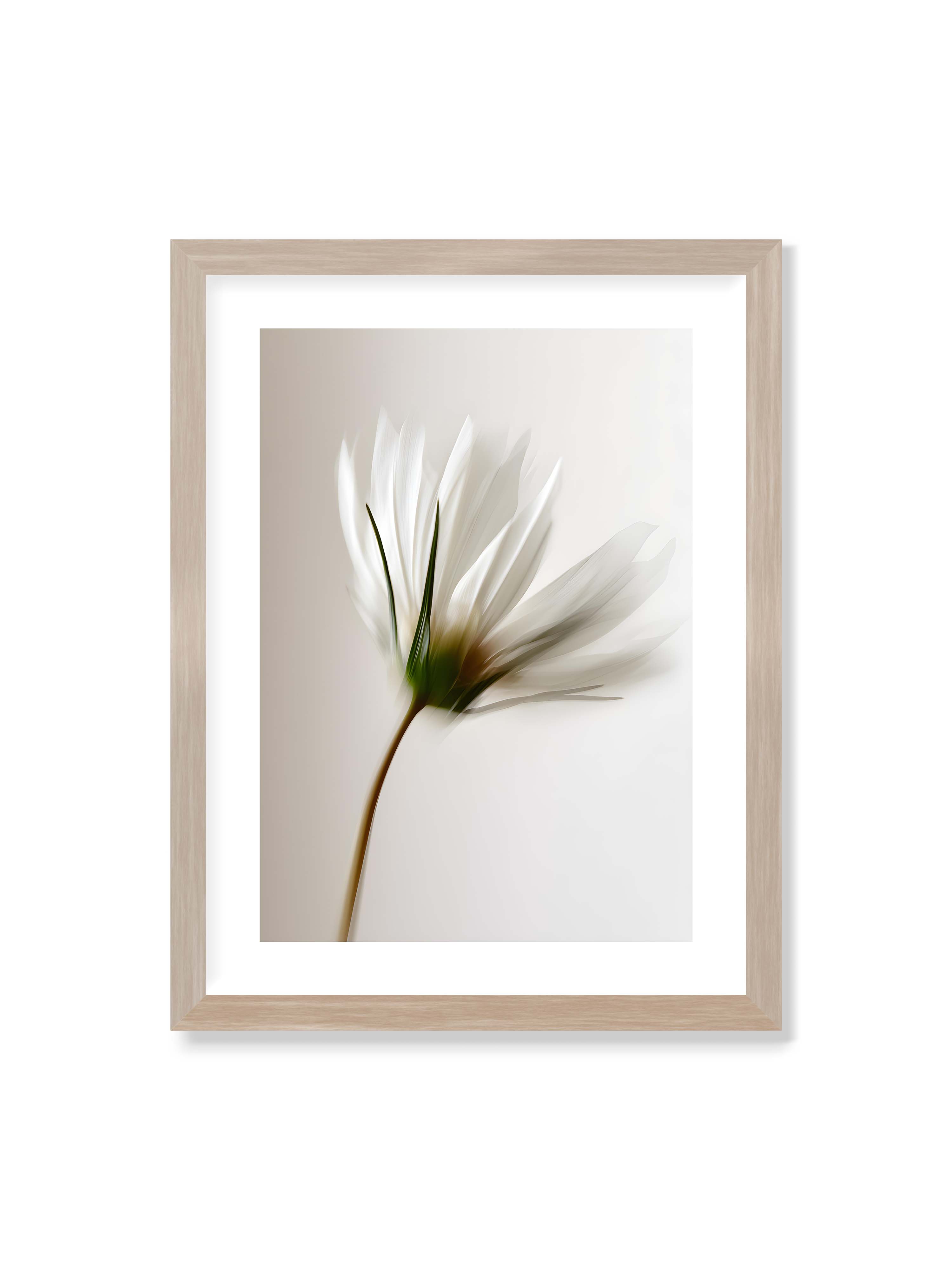 30x40 cm mit weißem Galerie-Rand im Eichenrahmen – Weiße Blüte mit Bewegungsunschärfe und grünem Kern vor hellem, weichem Hintergrund in Hochformat.