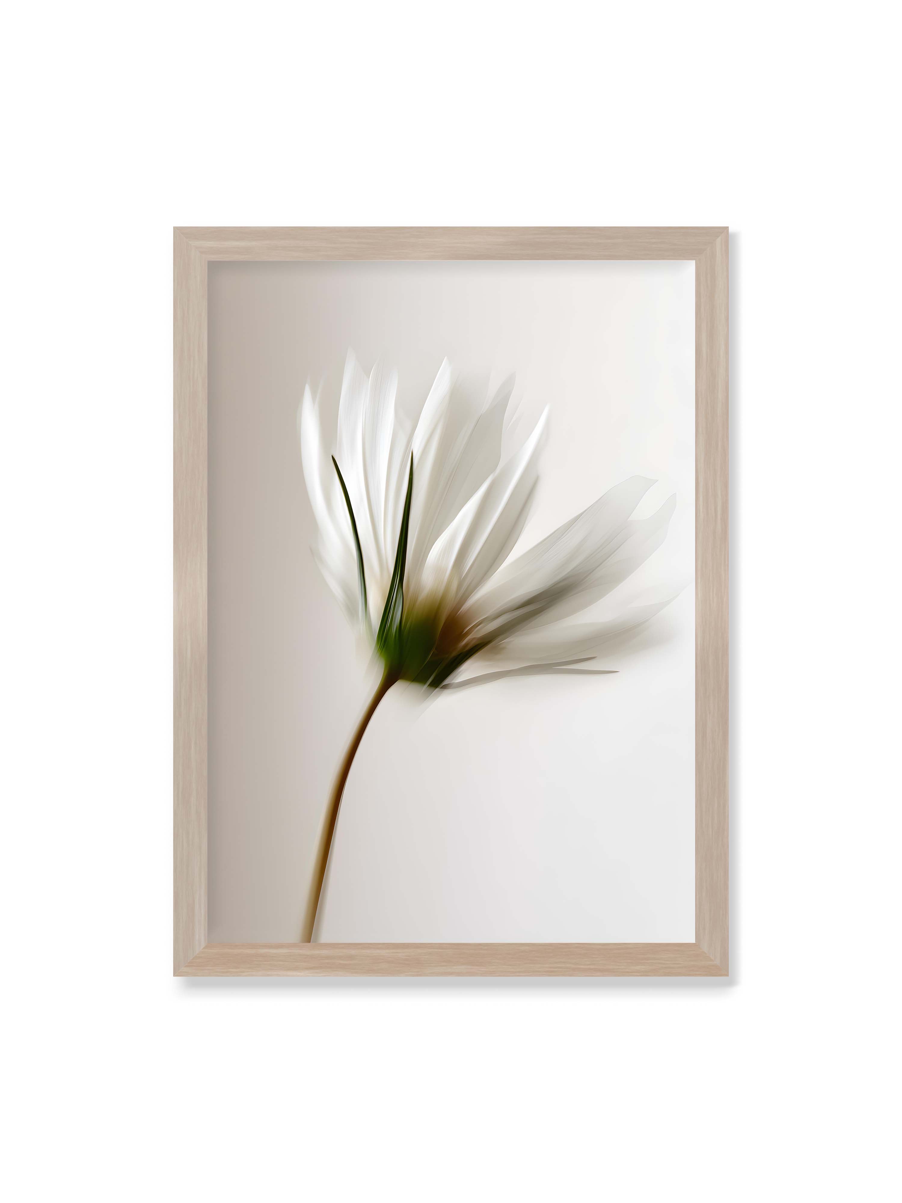 50x70 cm ohne Galerie-Rand im Eichenrahmen – Weiße Blüte mit Bewegungsunschärfe und grünem Kern vor hellem, weichem Hintergrund in Hochformat.