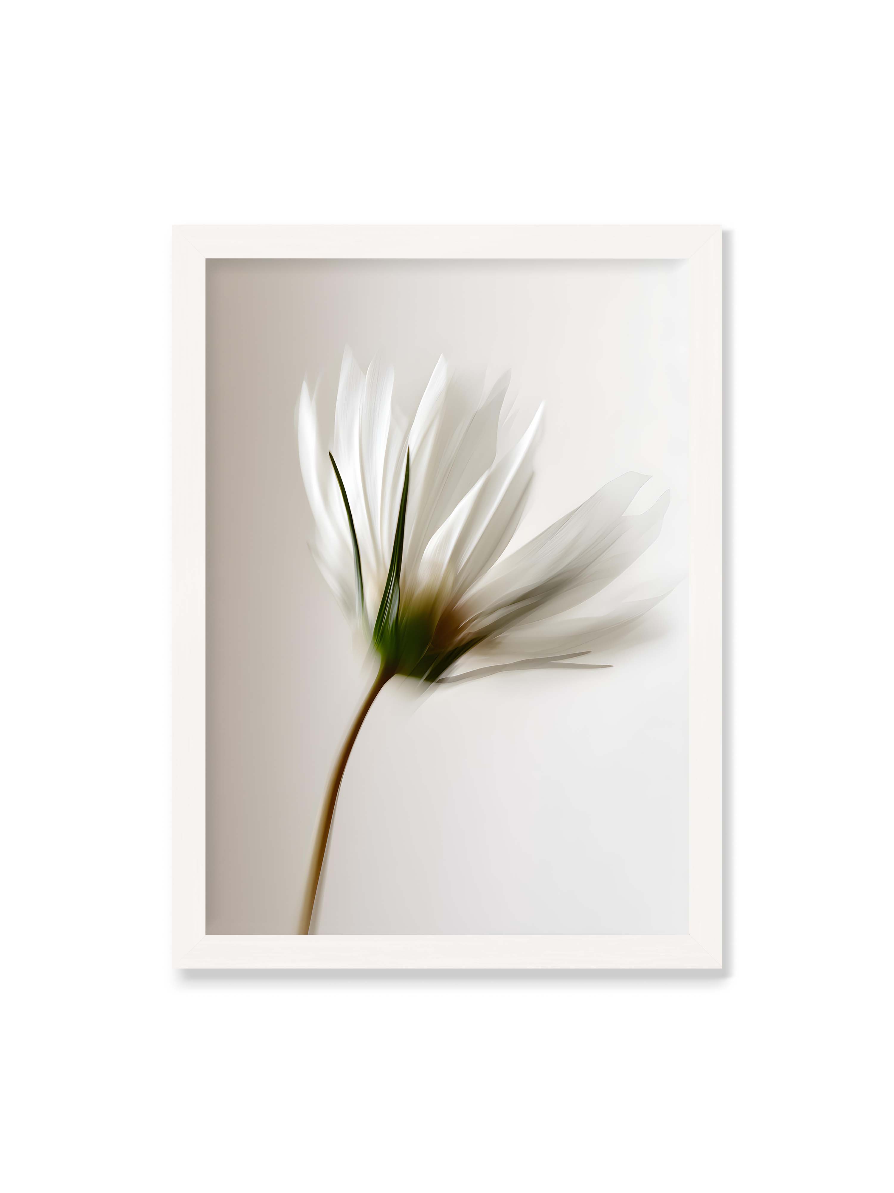 50x70 cm ohne Galerie-Rand mit weißem Rahmen – Weiße Blüte mit Bewegungsunschärfe und grünem Kern vor hellem, weichem Hintergrund in Hochformat.