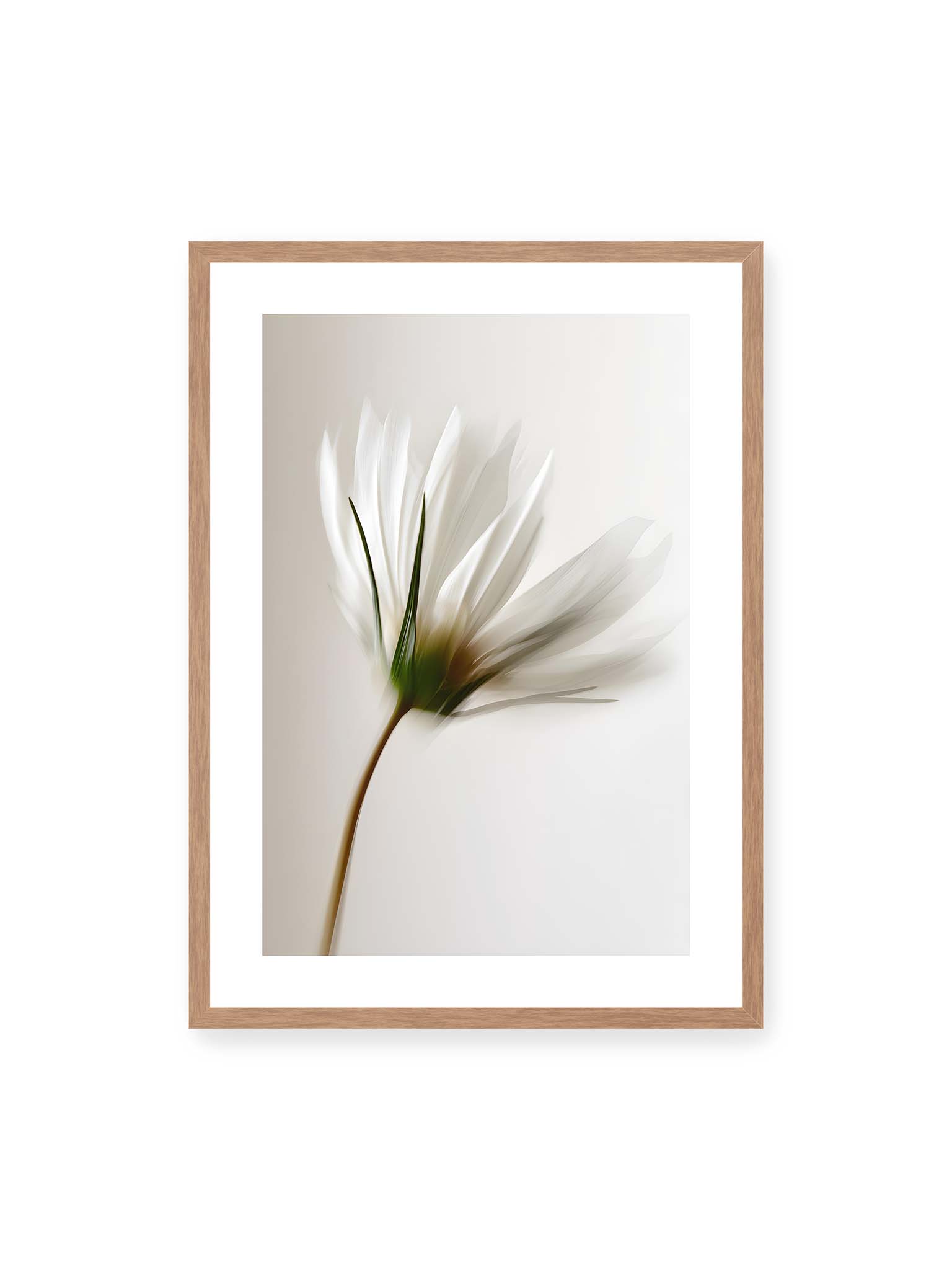 50x70 cm, weißer Galerie-Rand, Eichenrahmen – Weiße Margerite in weicher Bewegungsunschärfe auf cremefarbenem Hintergrund.