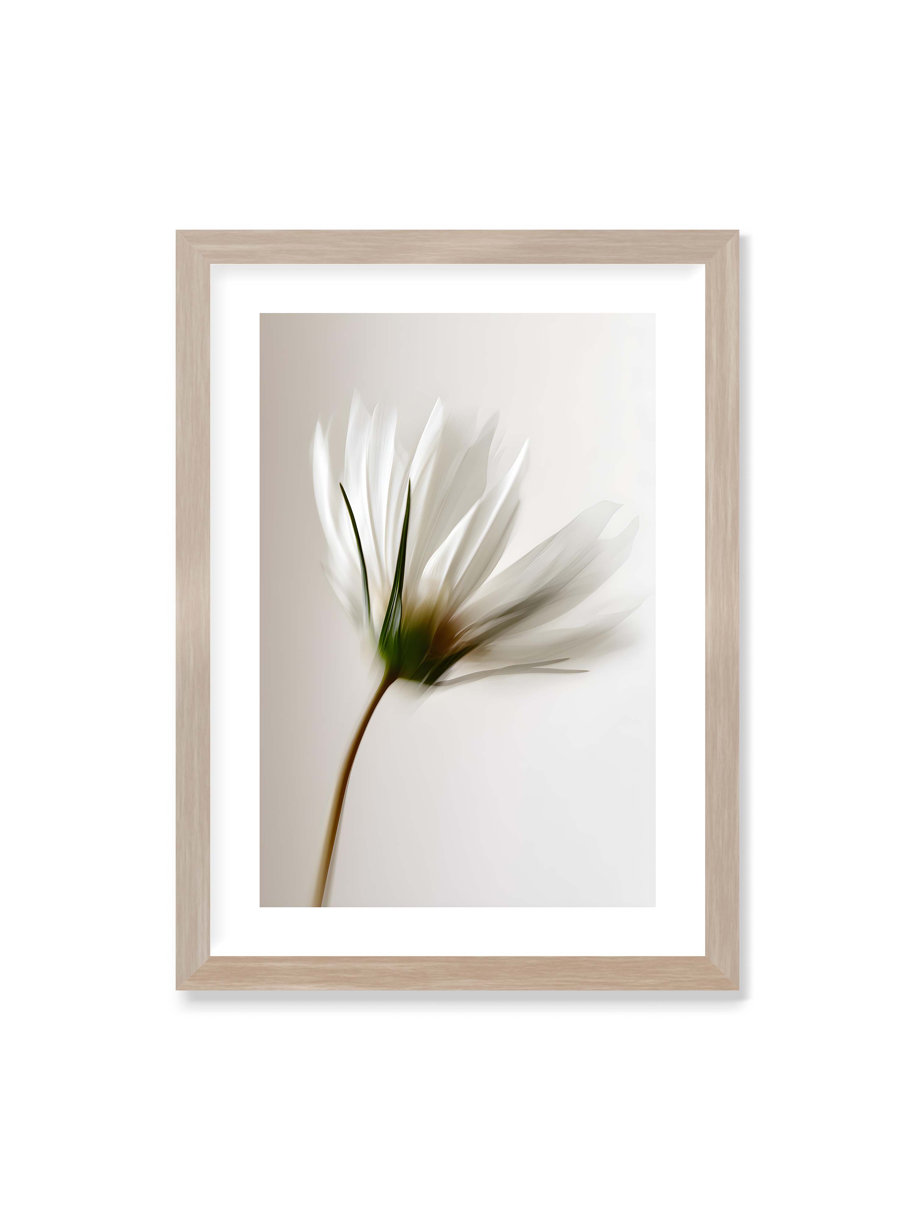 50x70 cm mit weißem Galerie-Rand im Eichenrahmen – Weiße Blüte mit Bewegungsunschärfe und grünem Kern vor hellem, weichem Hintergrund in Hochformat.
