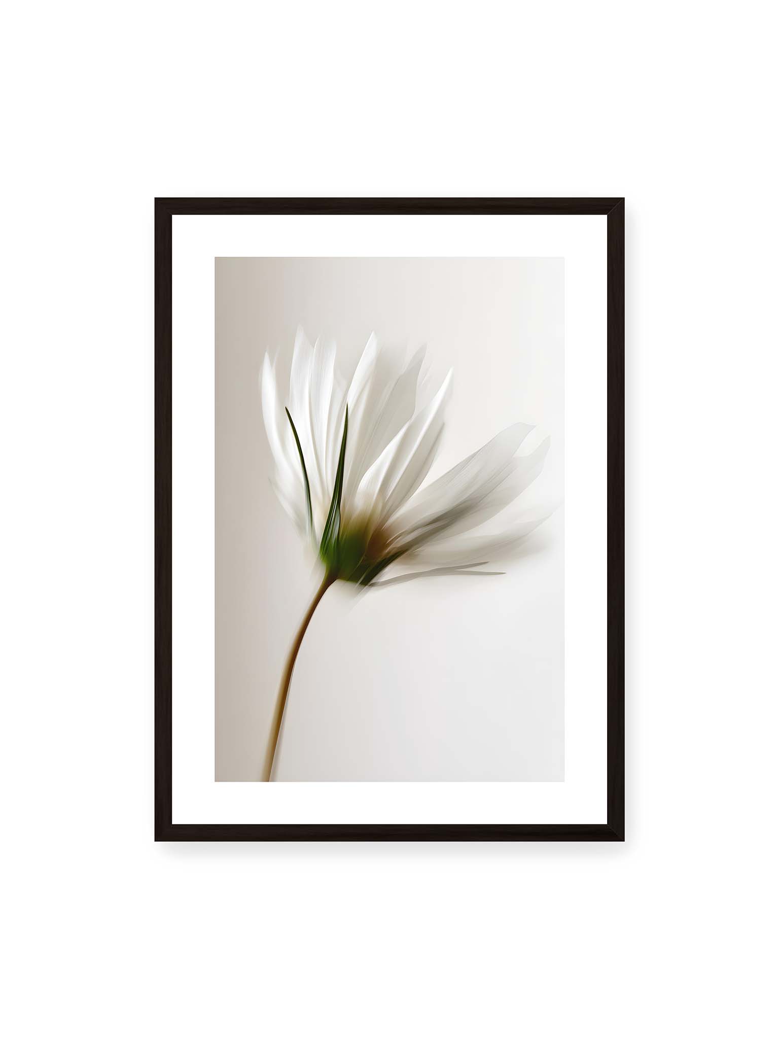 50x70 cm, weißer Galerie-Rand, schwarzer Rahmen – Weiße Margerite in weicher Bewegungsunschärfe auf cremefarbenem Hintergrund.
