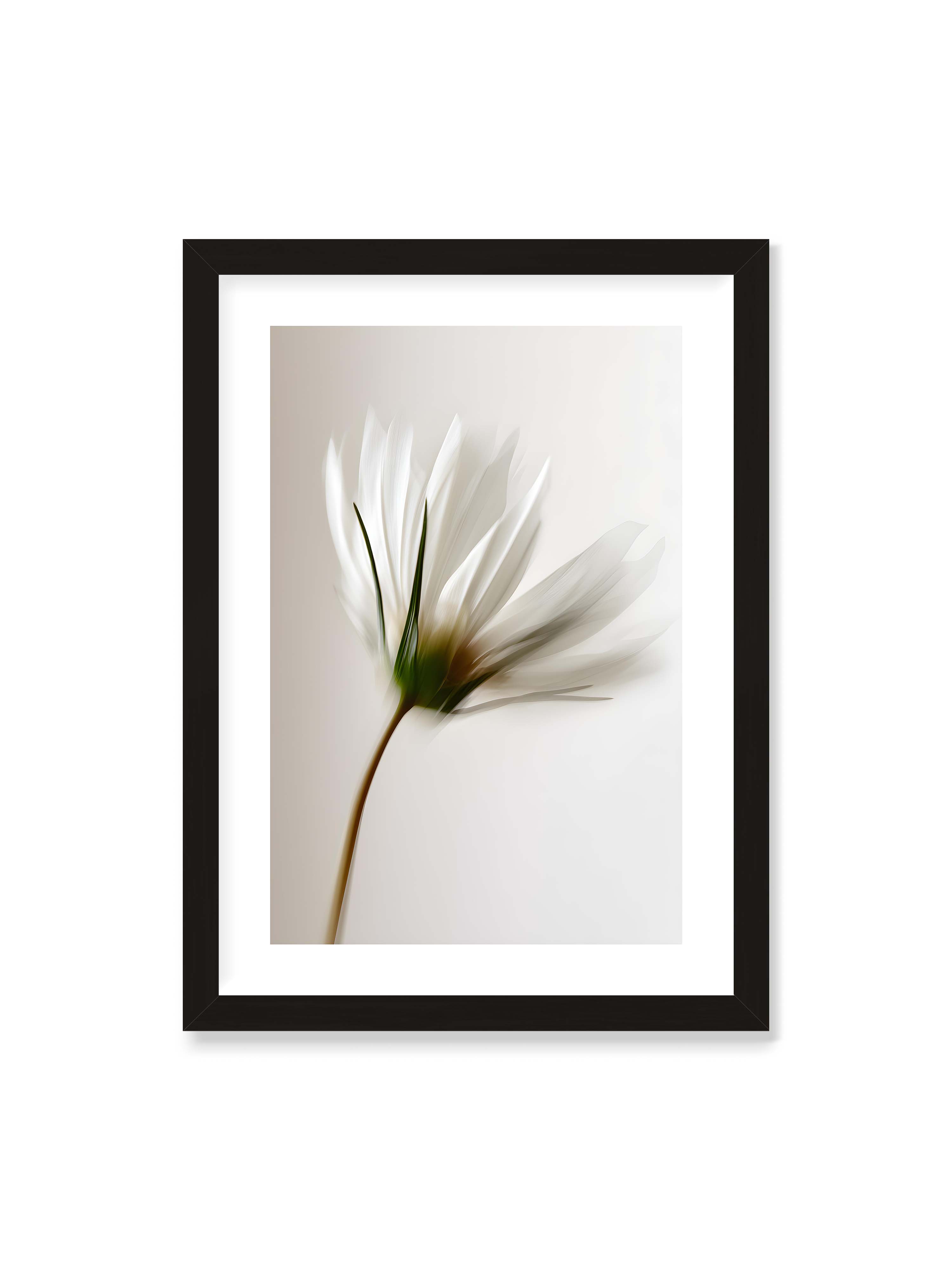50x70 cm mit weißem Galerie-Rand mit schwarzem Rahmen – Weiße Blüte mit Bewegungsunschärfe und grünem Kern vor hellem, weichem Hintergrund in Hochformat.