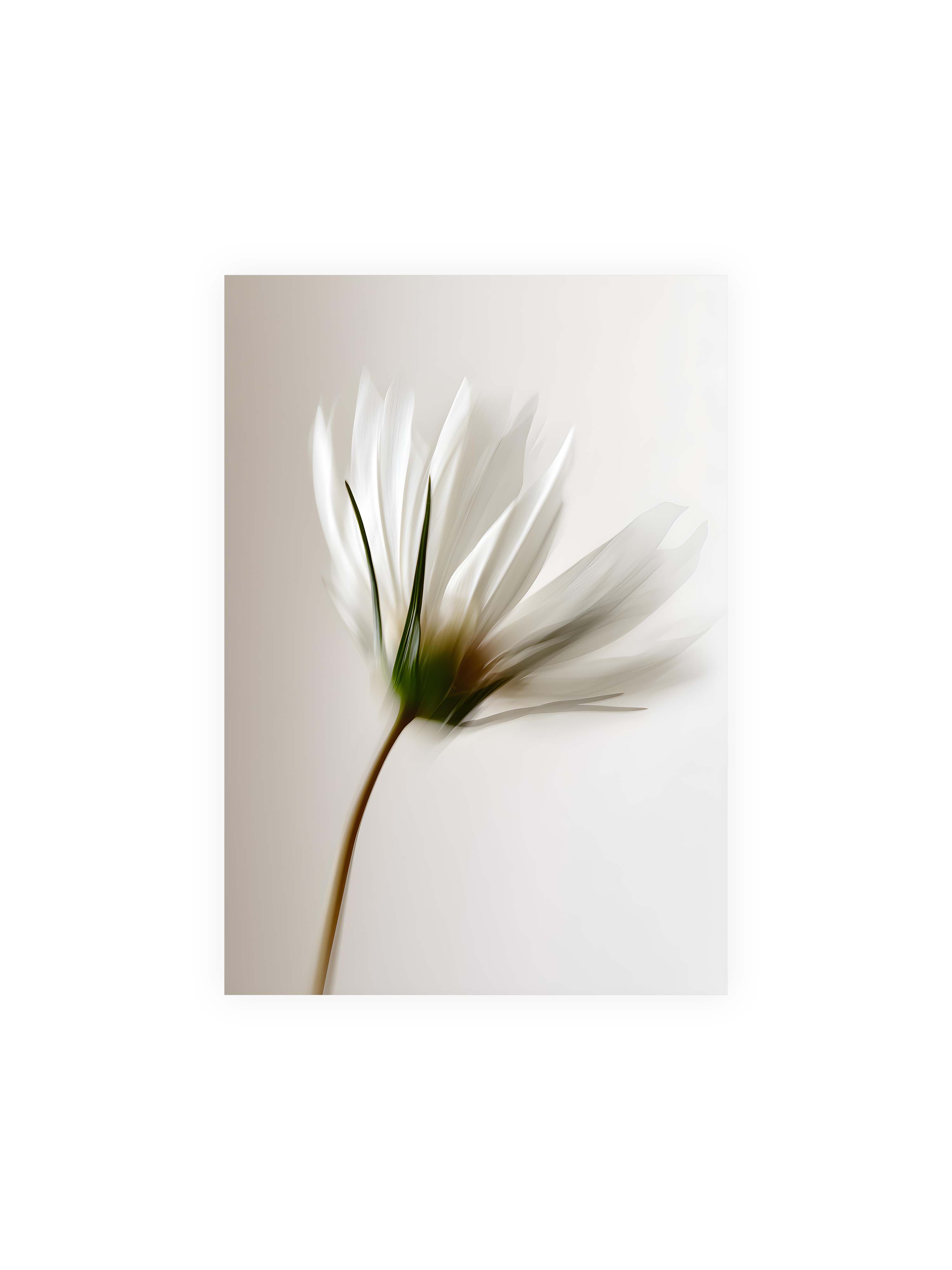 70x100 cm ohne Galerie-Rand ohne Rahmen – Weiße Blüte mit Bewegungsunschärfe und grünem Kern vor hellem, weichem Hintergrund in Hochformat.