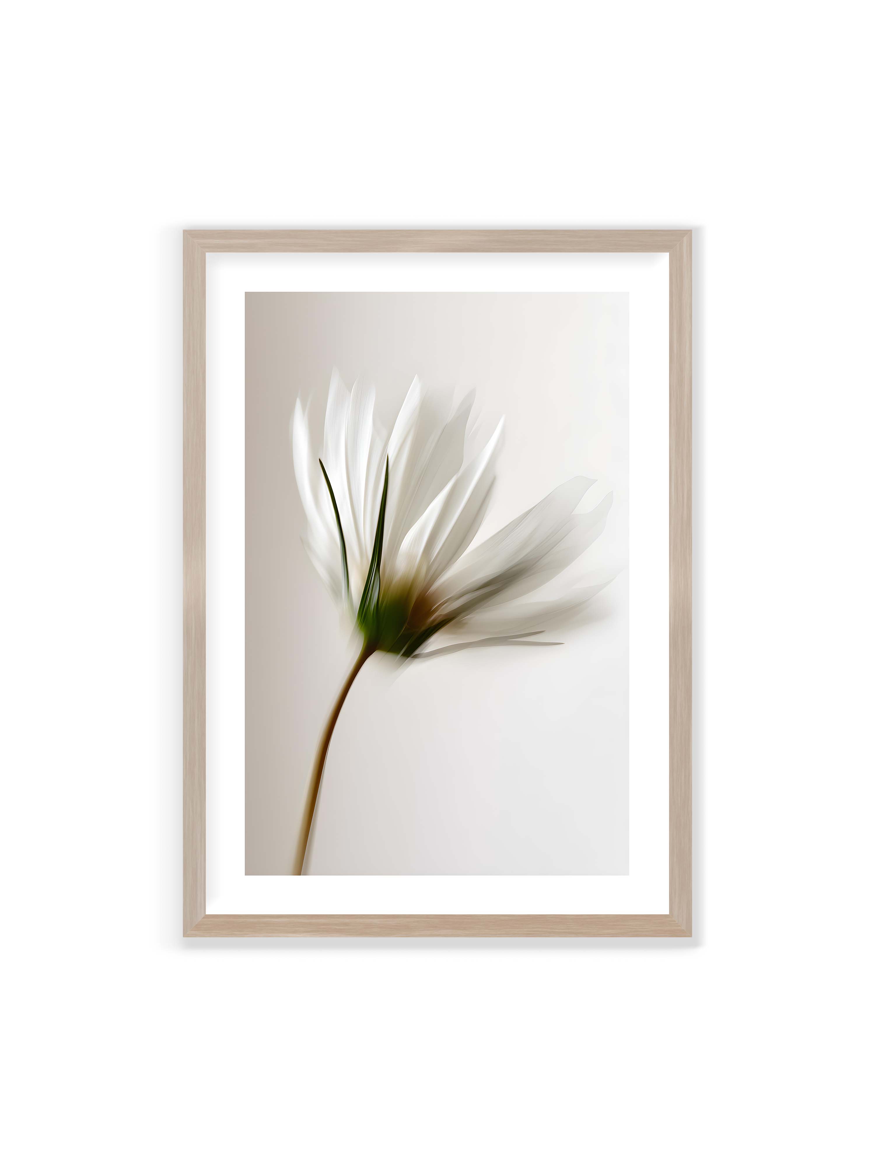 70x100 cm mit weißem Galerie-Rand im Eichenrahmen – Weiße Blüte mit Bewegungsunschärfe und grünem Kern vor hellem, weichem Hintergrund in Hochformat.