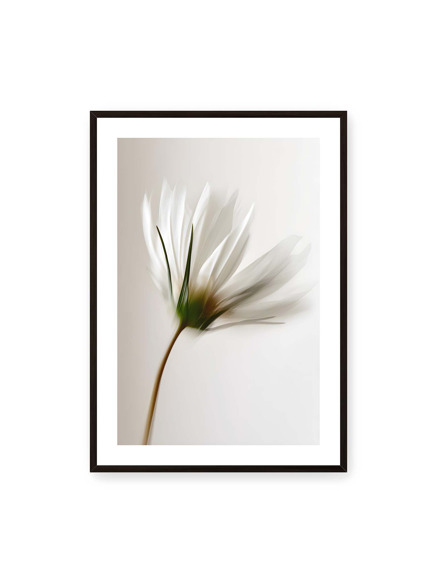 70x100 cm, weißer Galerie-Rand, schwarzer Rahmen – Weiße Margerite in weicher Bewegungsunschärfe auf cremefarbenem Hintergrund.