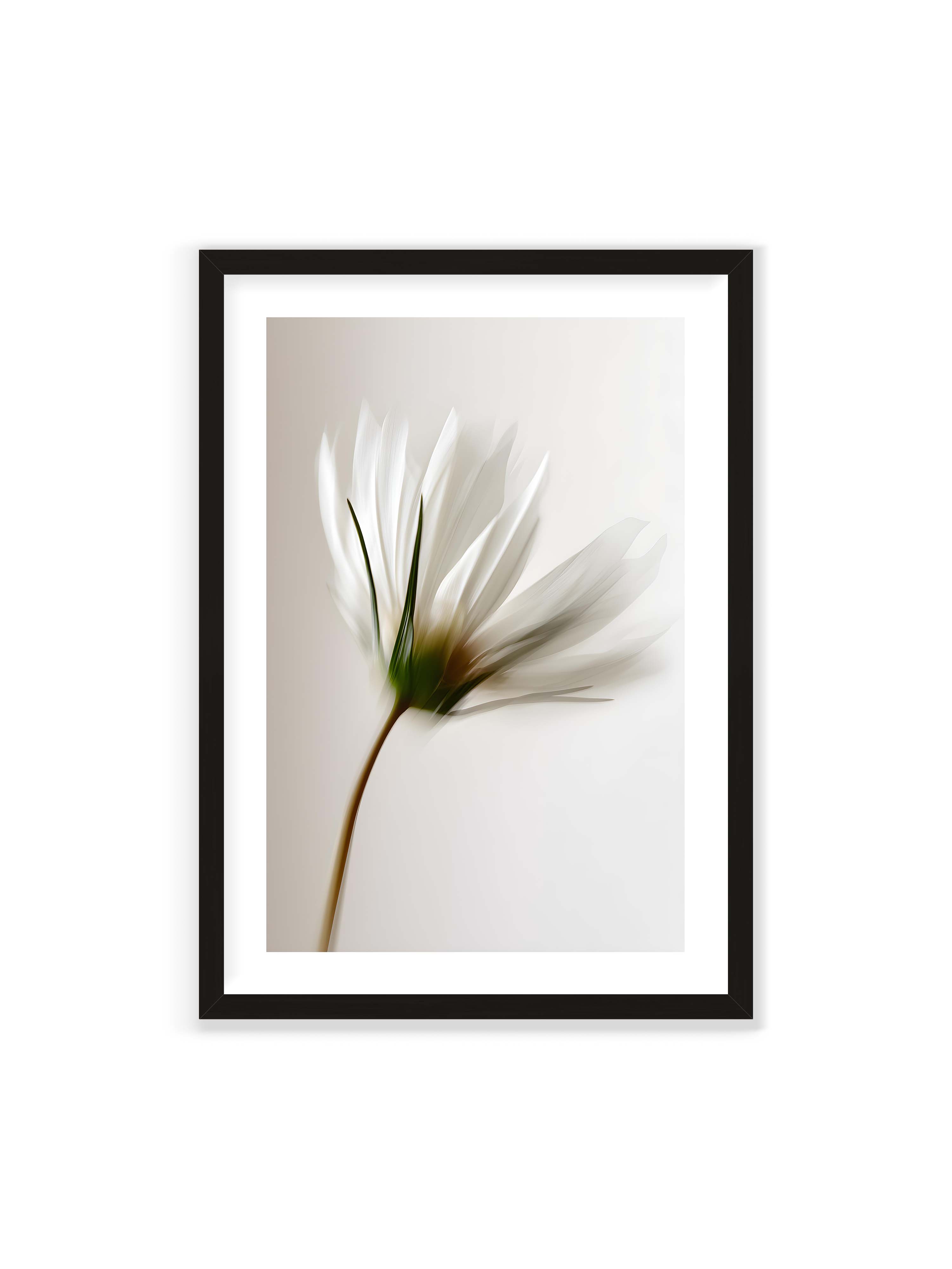70x100 cm mit weißem Galerie-Rand mit schwarzem Rahmen – Weiße Blüte mit Bewegungsunschärfe und grünem Kern vor hellem, weichem Hintergrund in Hochformat.