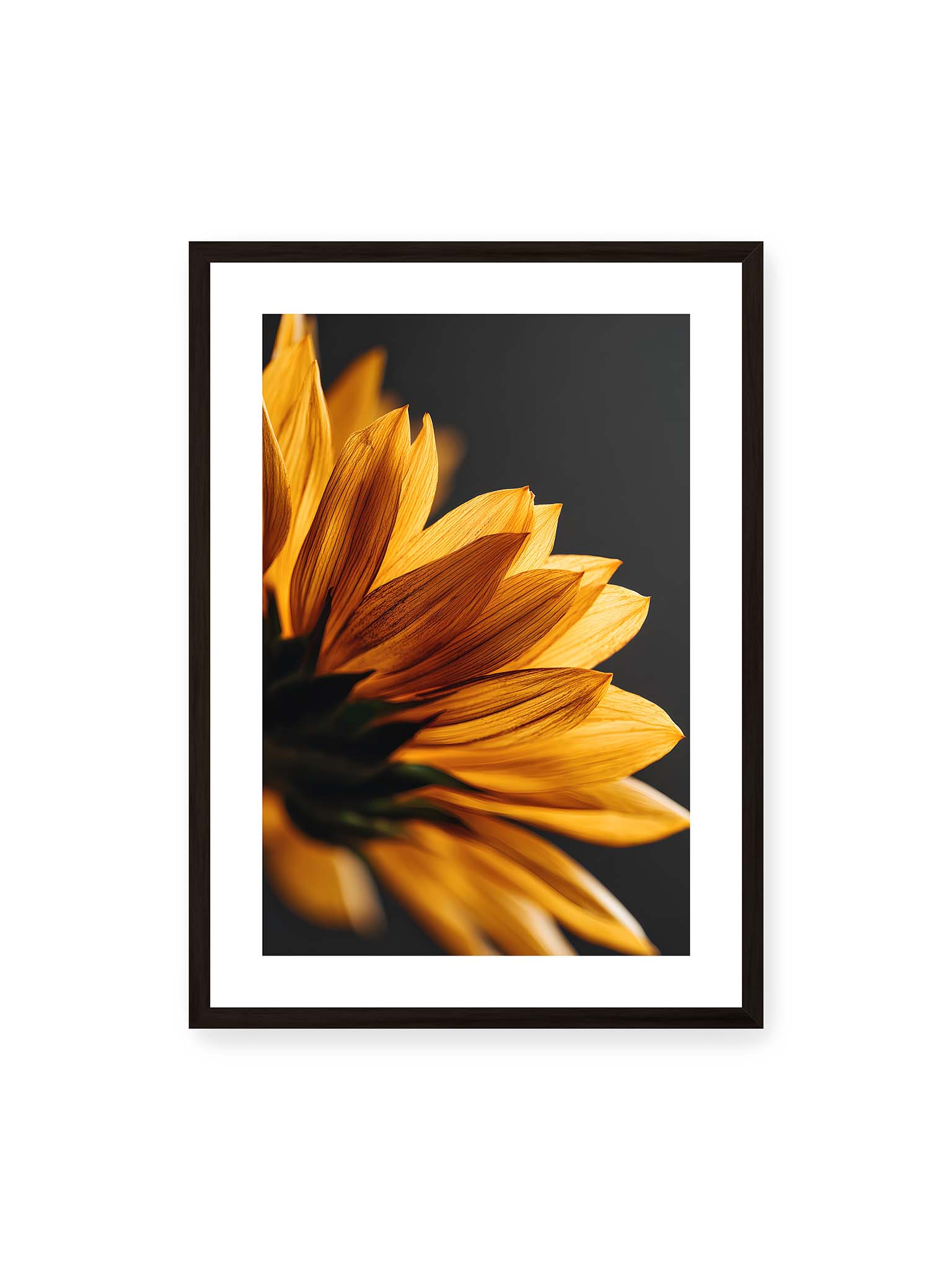 Luminous Harvest Whisper