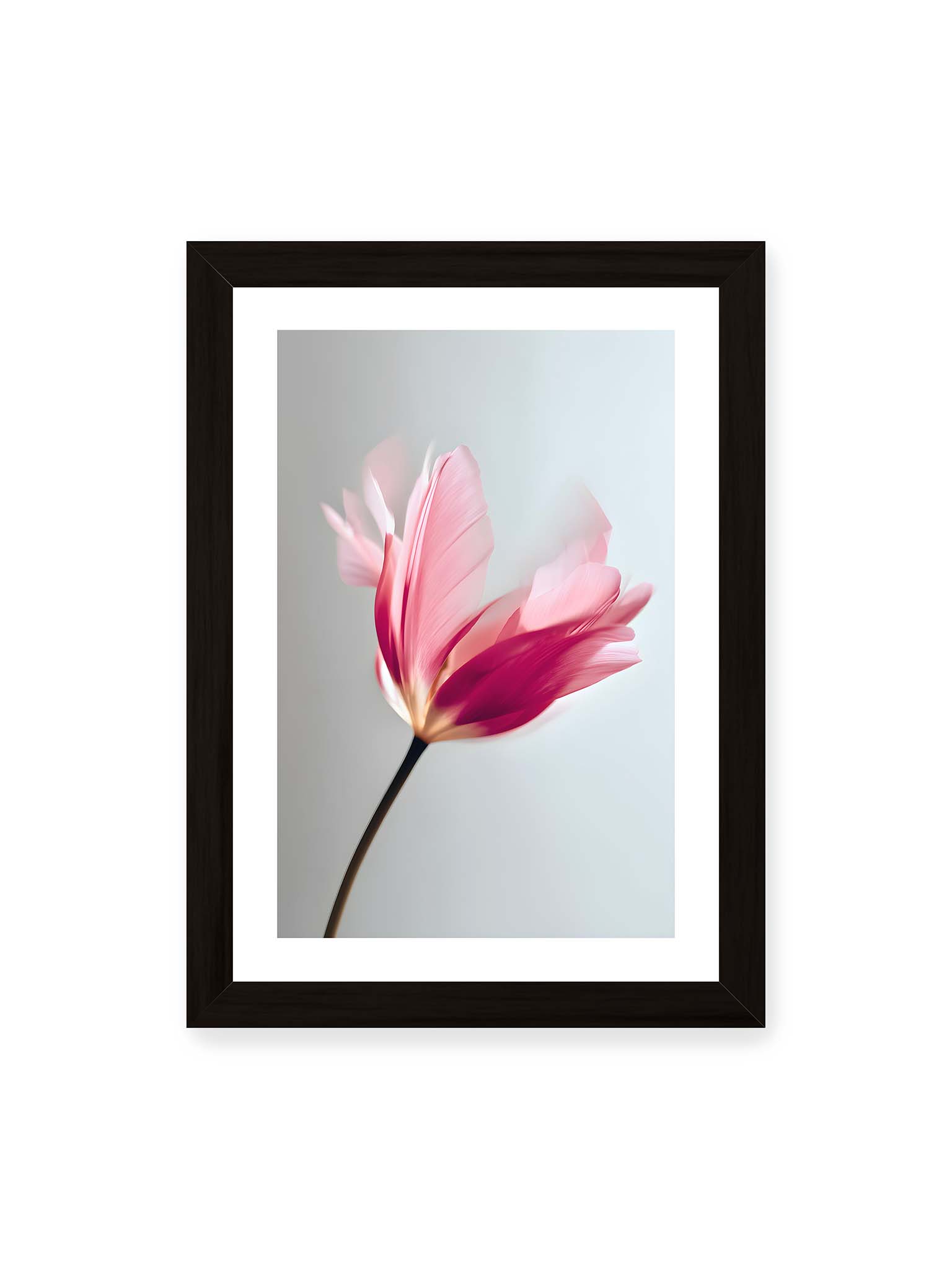 21x30 cm, weißer Galerie-Rand, schwarzer Rahmen – Zarte rosafarbene Tulpenblüte mit weicher Bewegungsunschärfe vor hellem grauen Hintergrund.