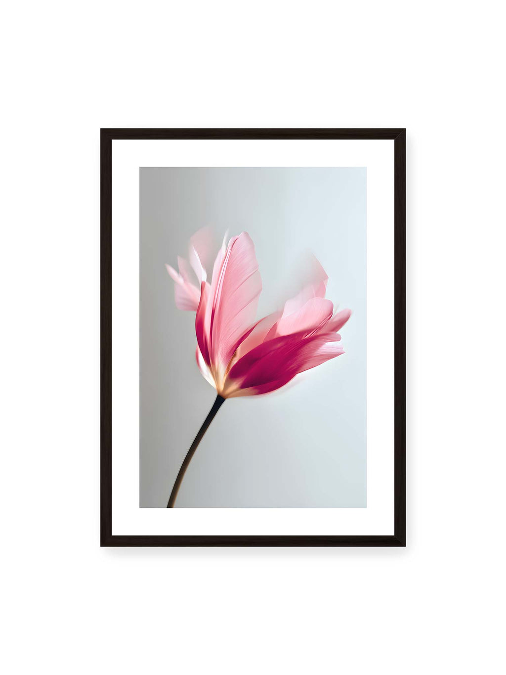 Petals of Silence