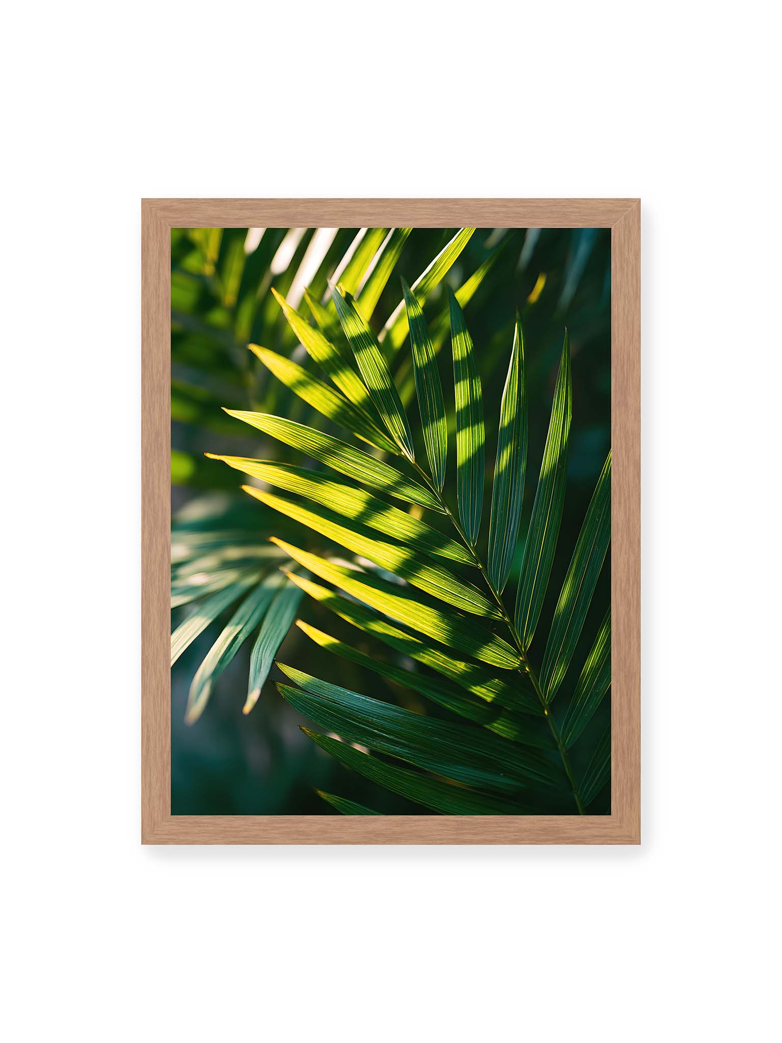 30x40 cm, Eichenrahmen – Nahaufnahme eines Palmwedels mit gelbgrünen Lichtstreifen und dunklen Schatten auf unscharfem Hintergrund.