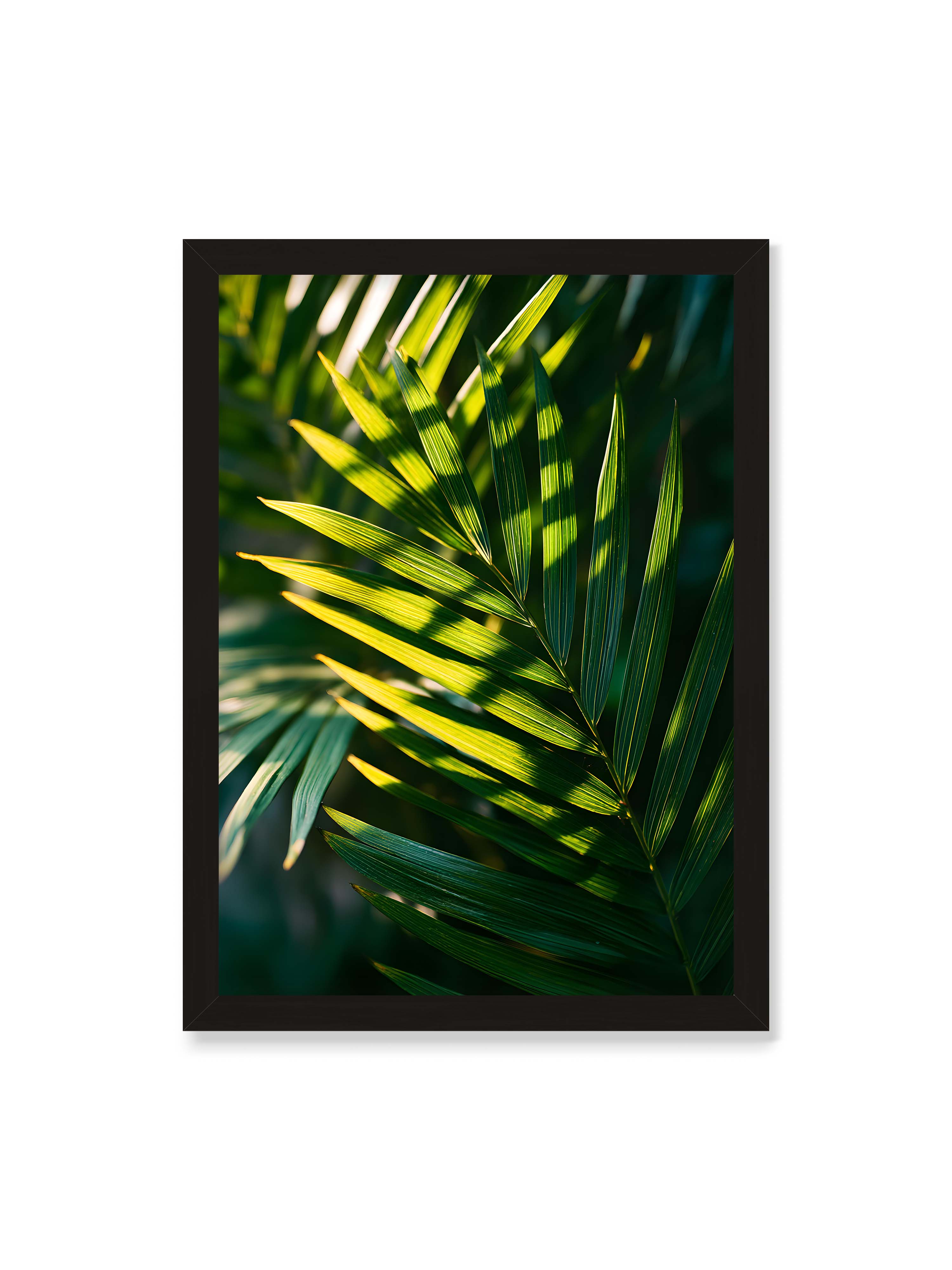 50x70 cm ohne Galerie-Rand mit schwarzem Rahmen – Nahaufnahme eines Palmwedels mit gelbgrünen Lichtstreifen und dunklen Schatten auf unscharfem Hintergrund.