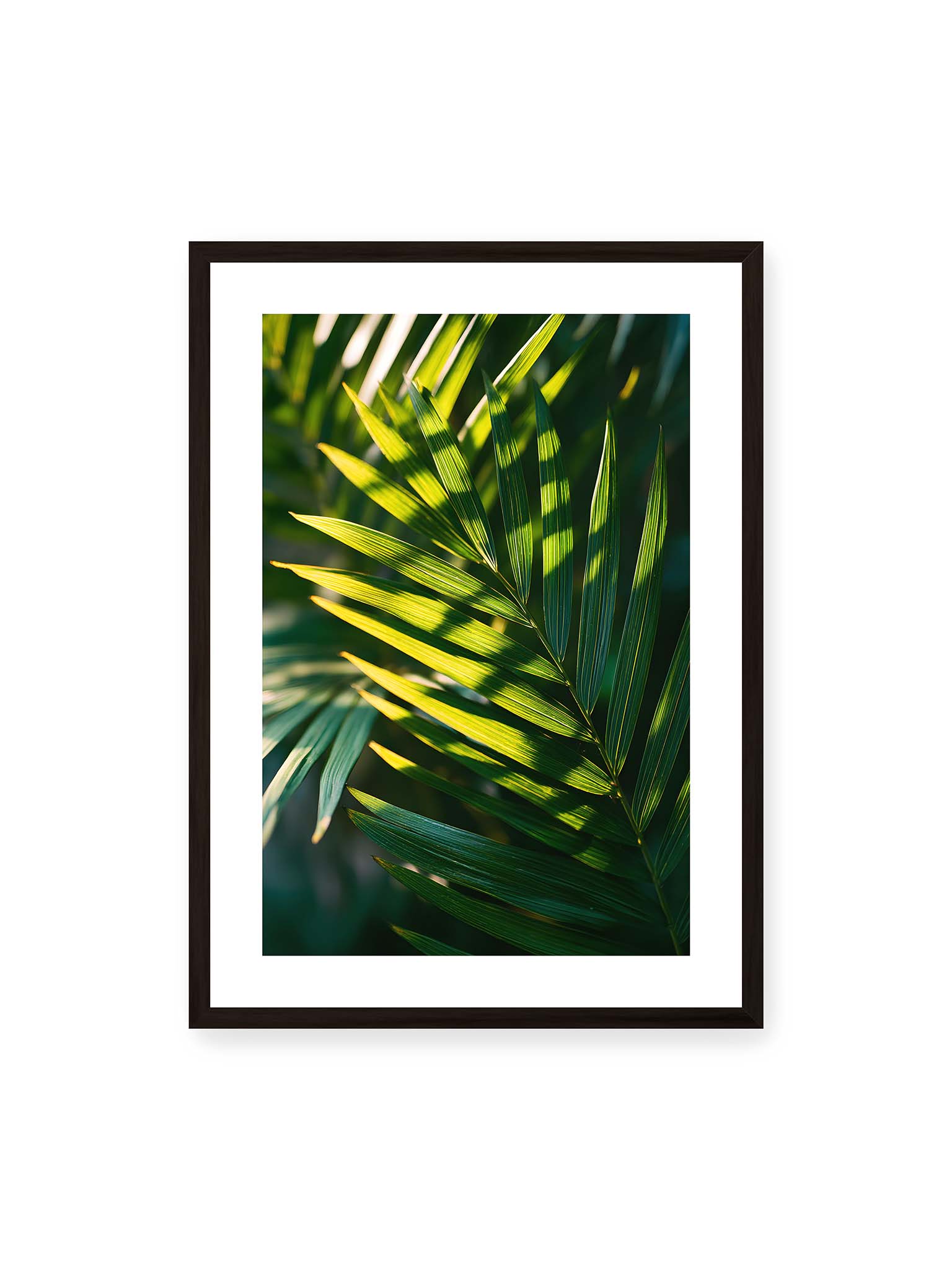 Emerald Light Lattice