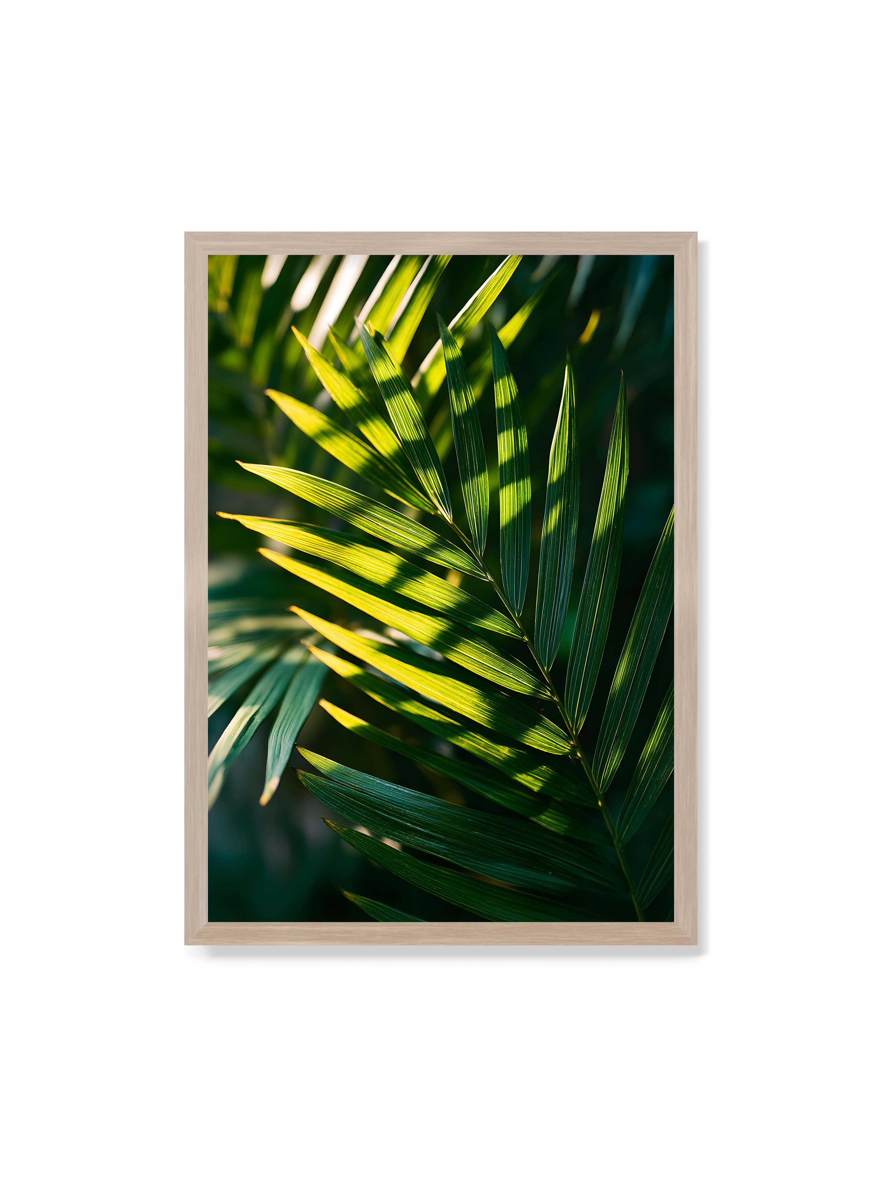 70x100 cm ohne Galerie-Rand im Eichenrahmen – Nahaufnahme eines Palmwedels mit gelbgrünen Lichtstreifen und dunklen Schatten auf unscharfem Hintergrund.