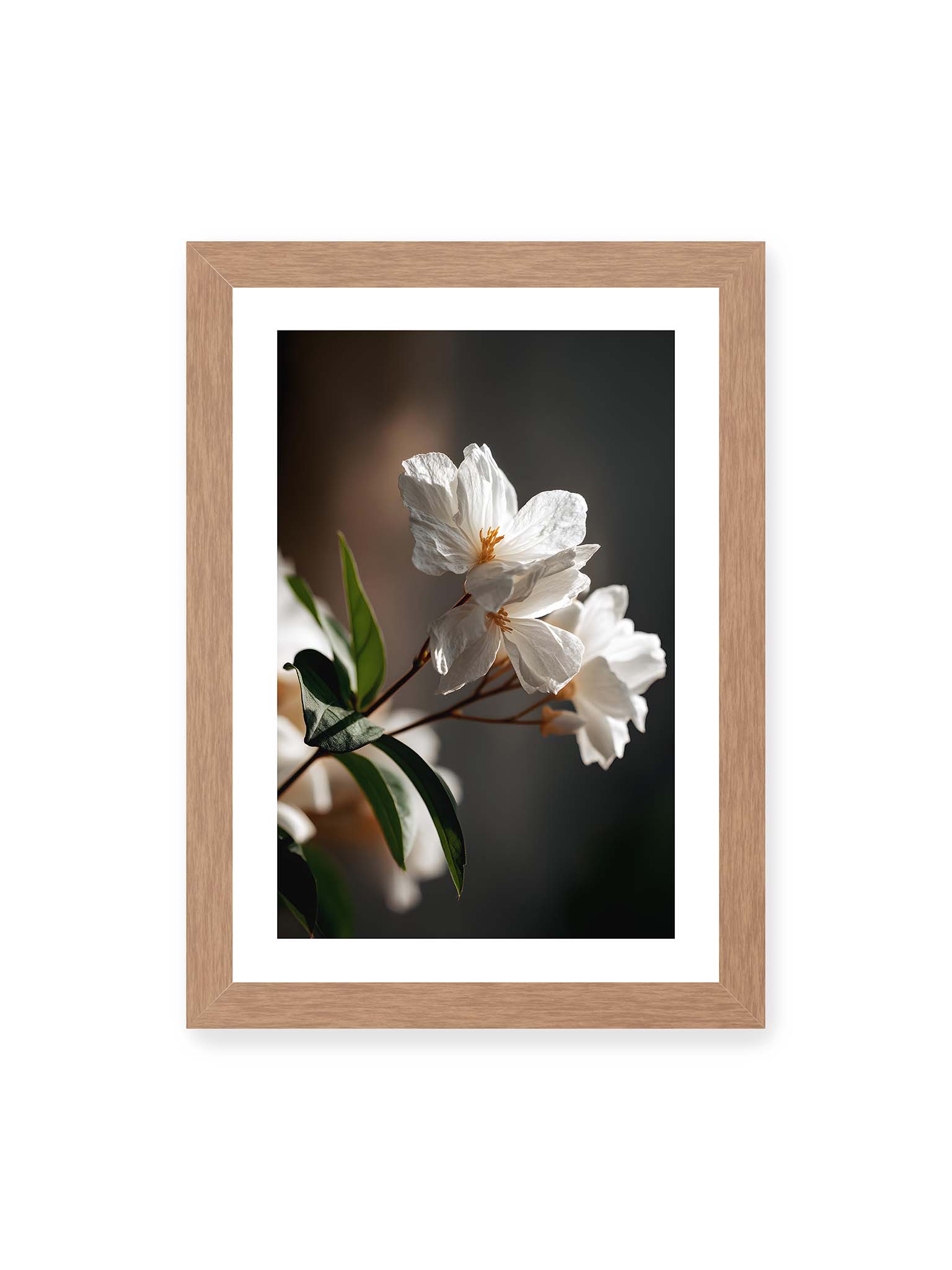 21x30 cm, weißer Galerie-Rand, Eichenrahmen – Zwei weiße Blüten am Zweig mit grünen Blättern im warmen Seitenlicht vor dunklem, unscharfem Hintergrund.