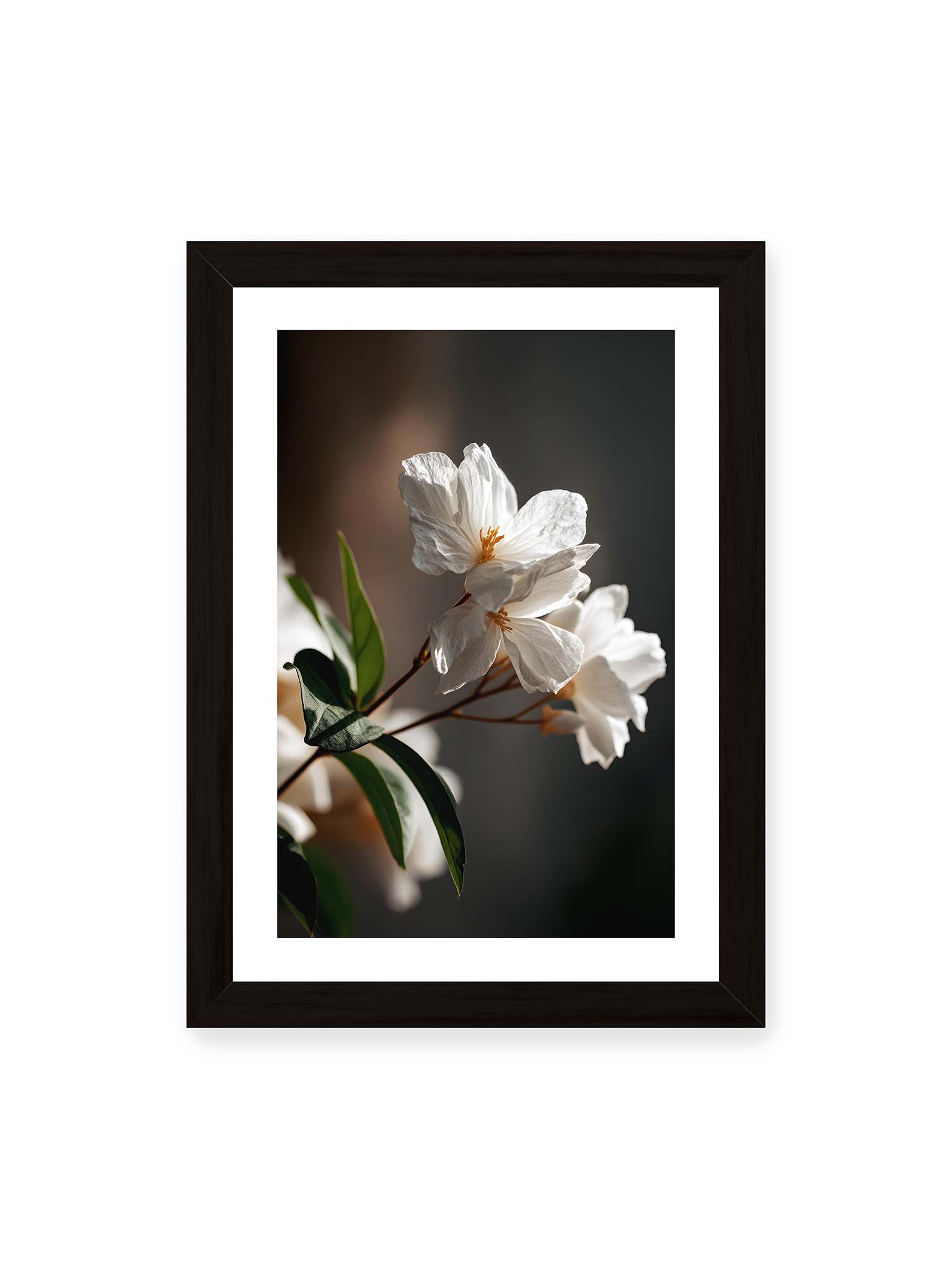 21x30 cm, weißer Galerie-Rand, schwarzer Rahmen – Zwei weiße Blüten am Zweig mit grünen Blättern im warmen Seitenlicht vor dunklem, unscharfem Hintergrund.