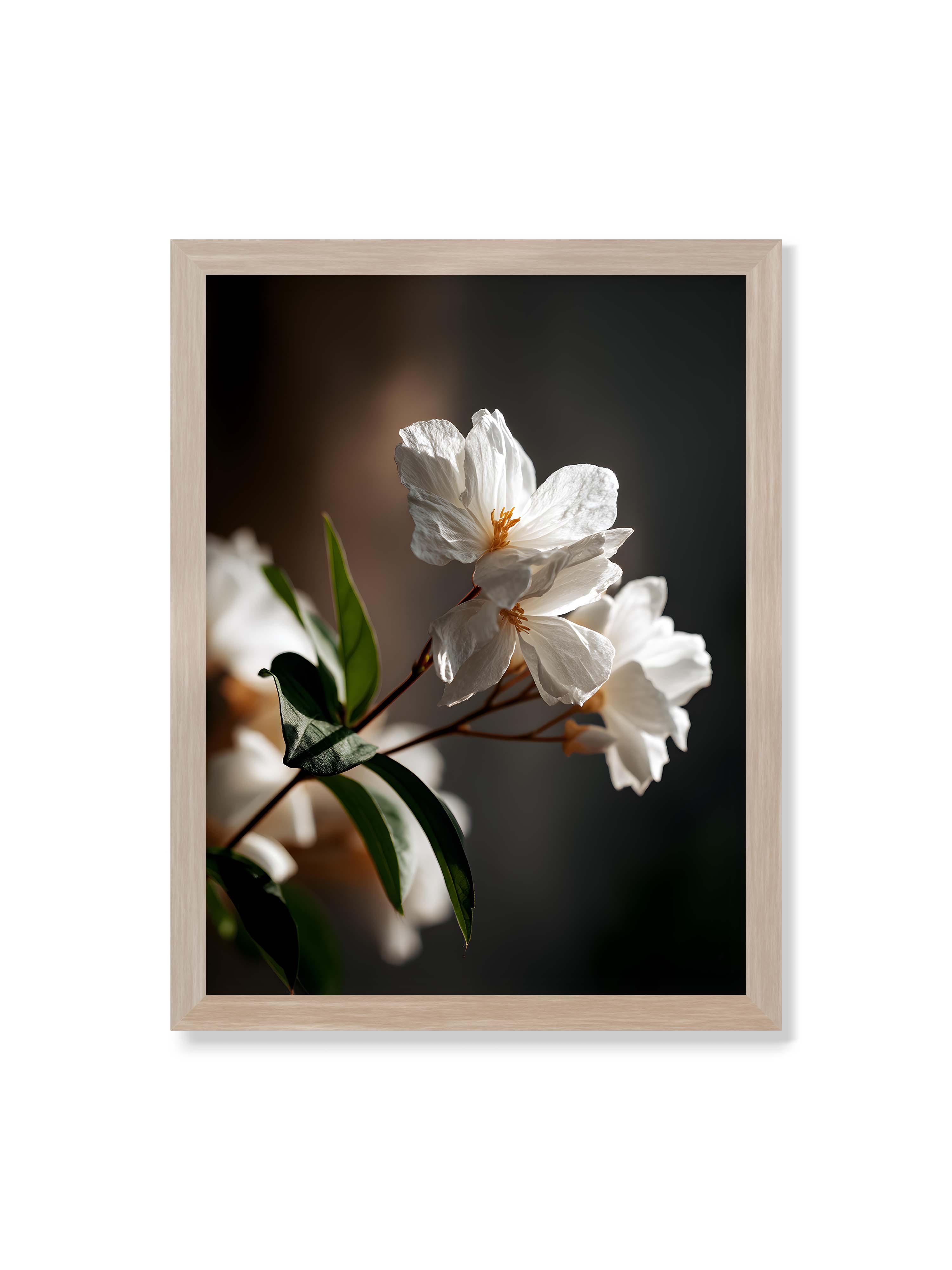 30x40 cm ohne Galerie-Rand im Eichenrahmen – Zwei weiße Blüten am Zweig mit grünen Blättern im warmen Seitenlicht vor dunklem, unscharfem Hintergrund.