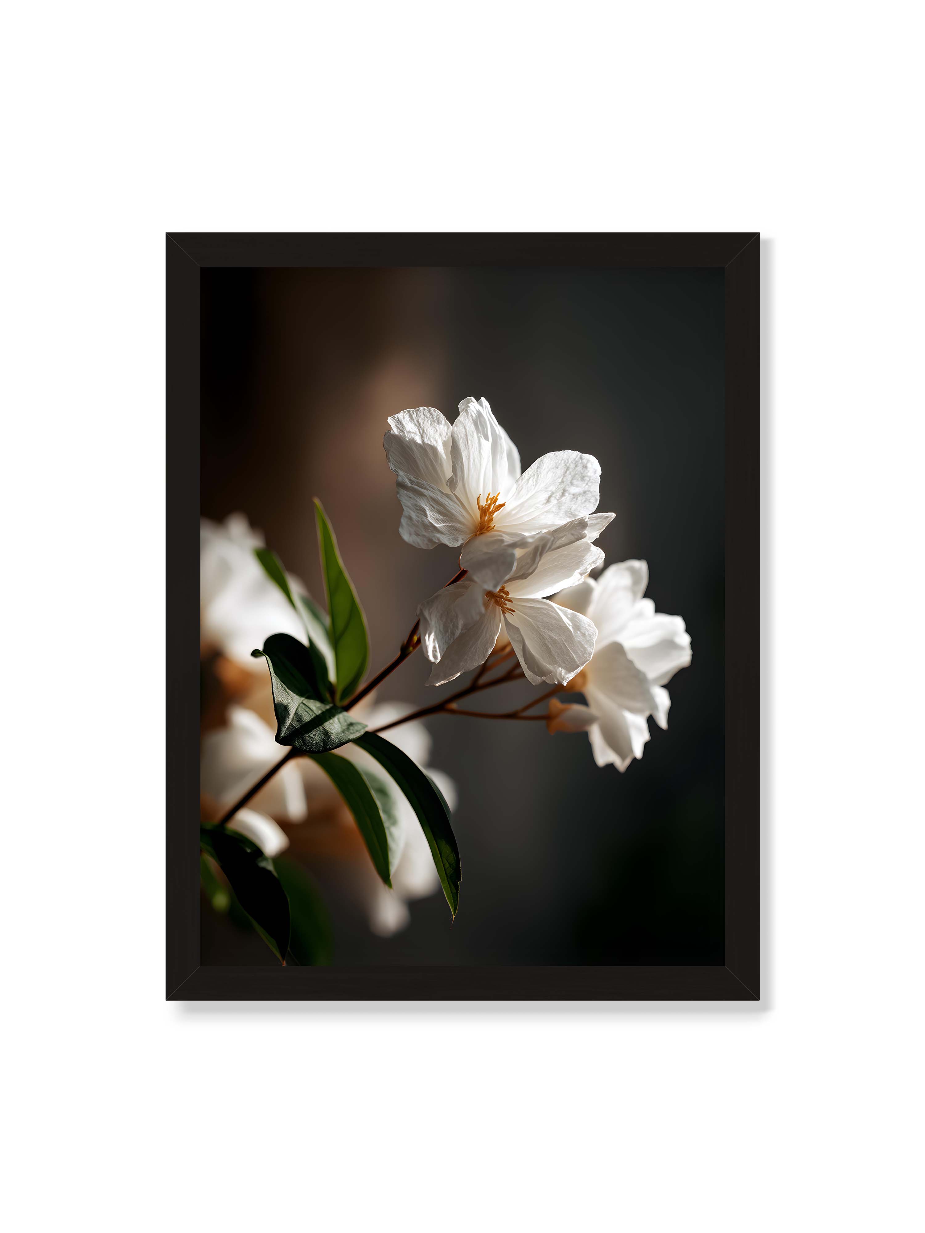 30x40 cm ohne Galerie-Rand mit schwarzem Rahmen – Zwei weiße Blüten am Zweig mit grünen Blättern im warmen Seitenlicht vor dunklem, unscharfem Hintergrund.