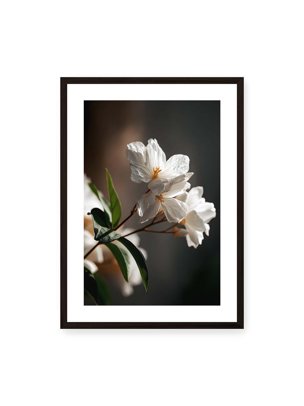 Ivory Quiet Bloom