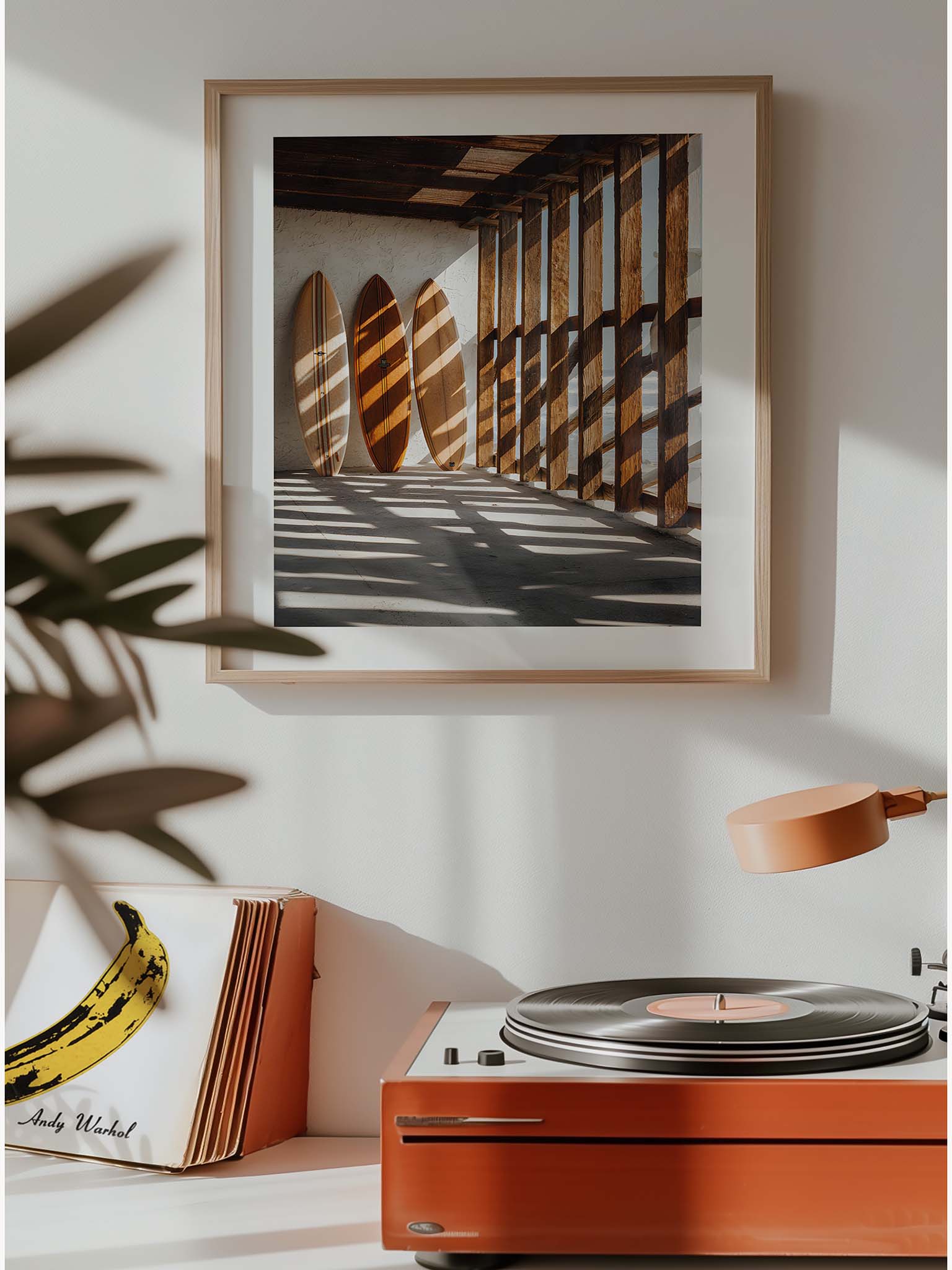 Shadows on Timber