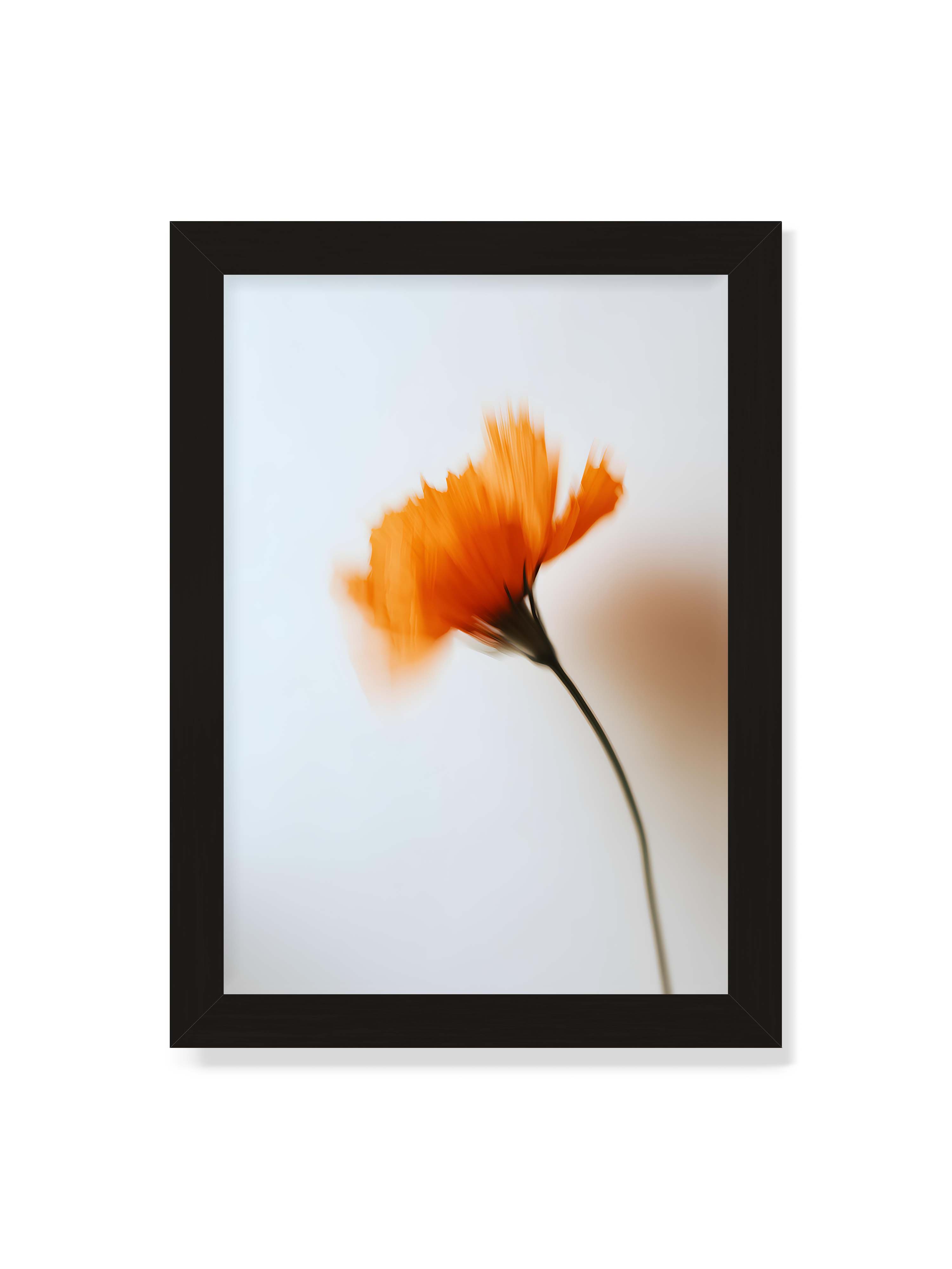 21x30 cm ohne Galerie-Rand mit schwarzem Rahmen – Orange Blüte mit starker Bewegungsunschärfe vor hellem Hintergrund, dunkler schlanker Stiel.