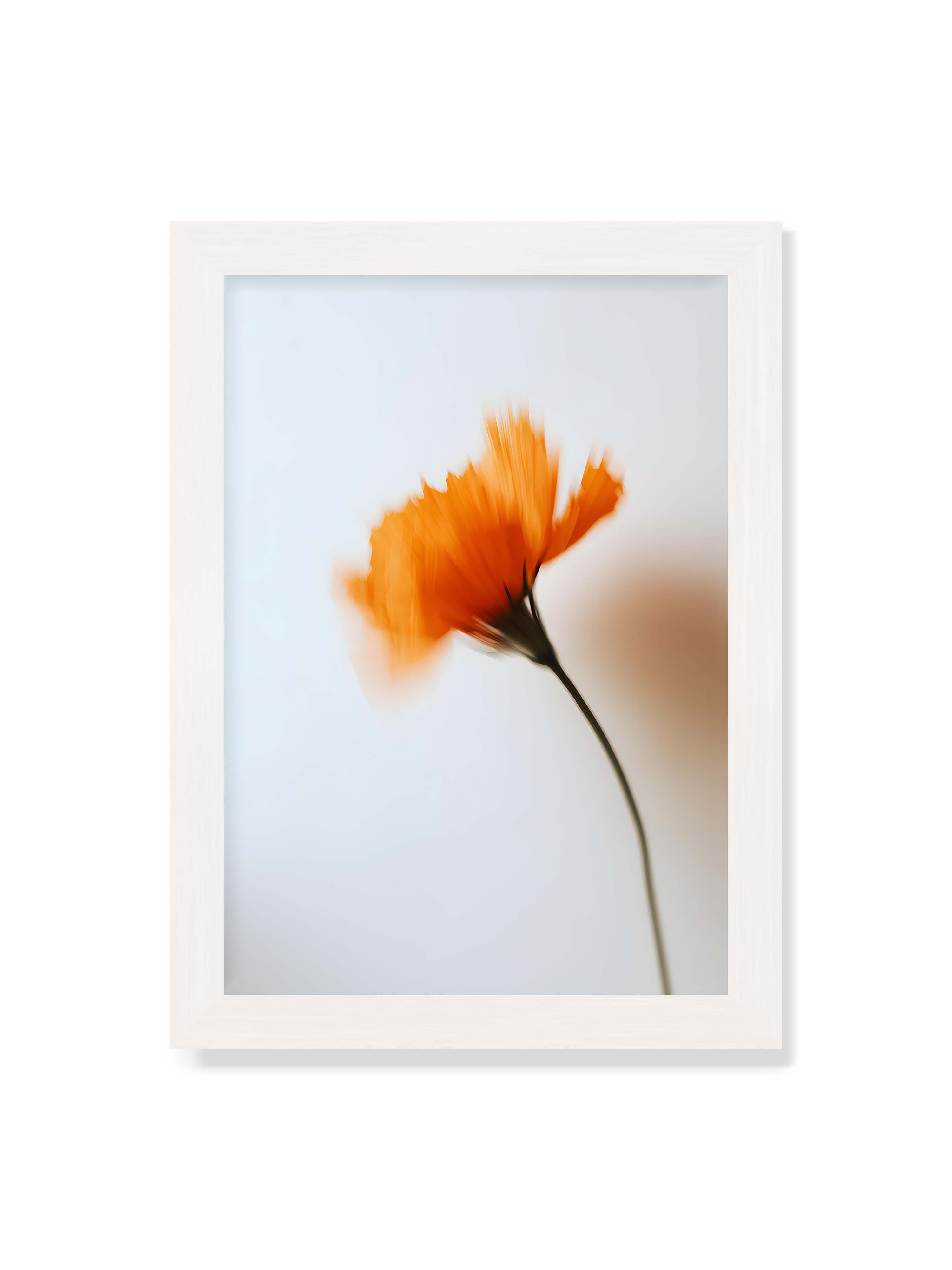 21x30 cm ohne Galerie-Rand mit weißem Rahmen – Orange Blüte mit starker Bewegungsunschärfe vor hellem Hintergrund, dunkler schlanker Stiel.