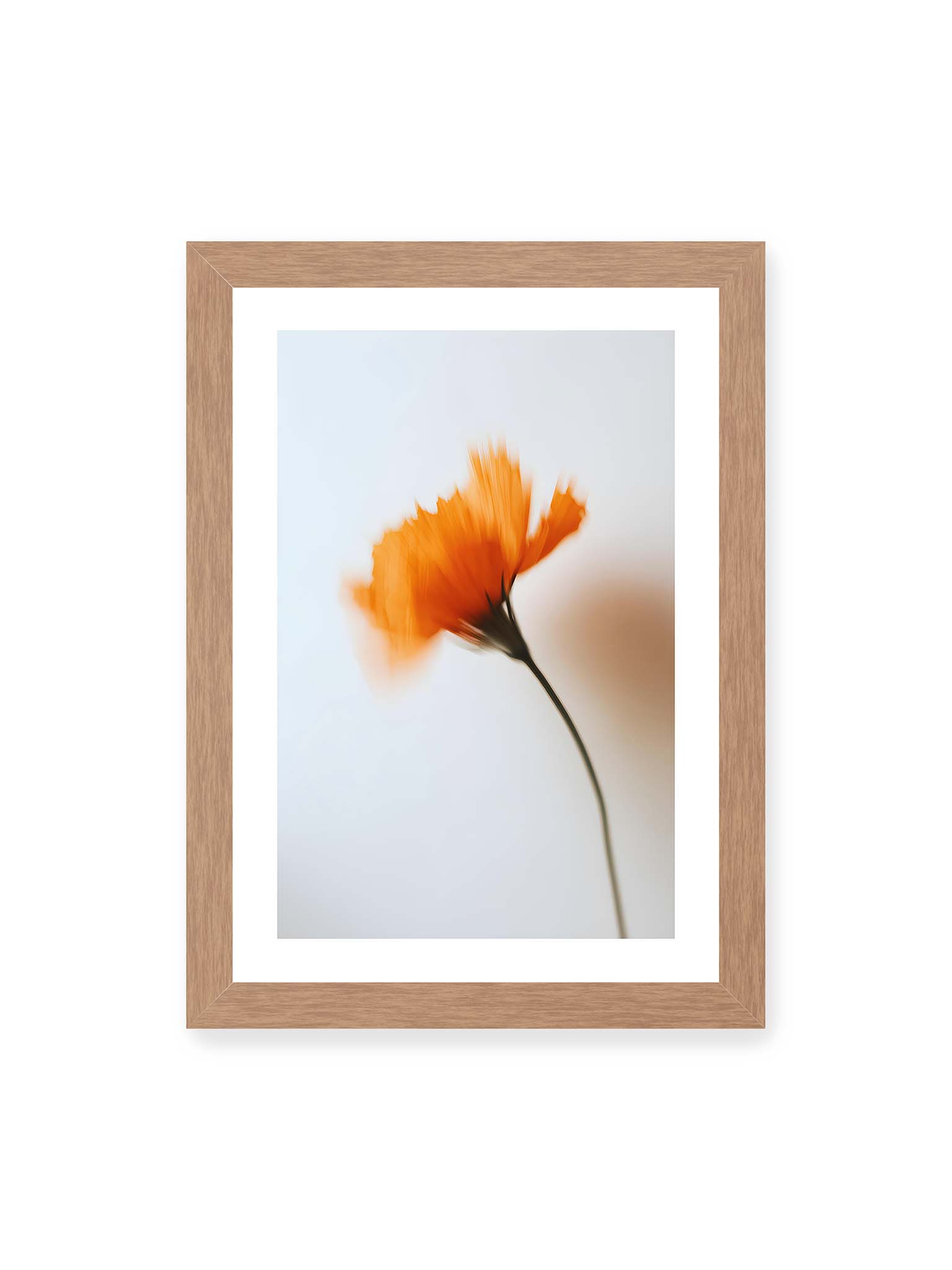 21x30 cm, weißer Galerie-Rand, Eichenrahmen – Orange Blüte mit starker Bewegungsunschärfe vor hellem Hintergrund, dunkler schlanker Stiel.