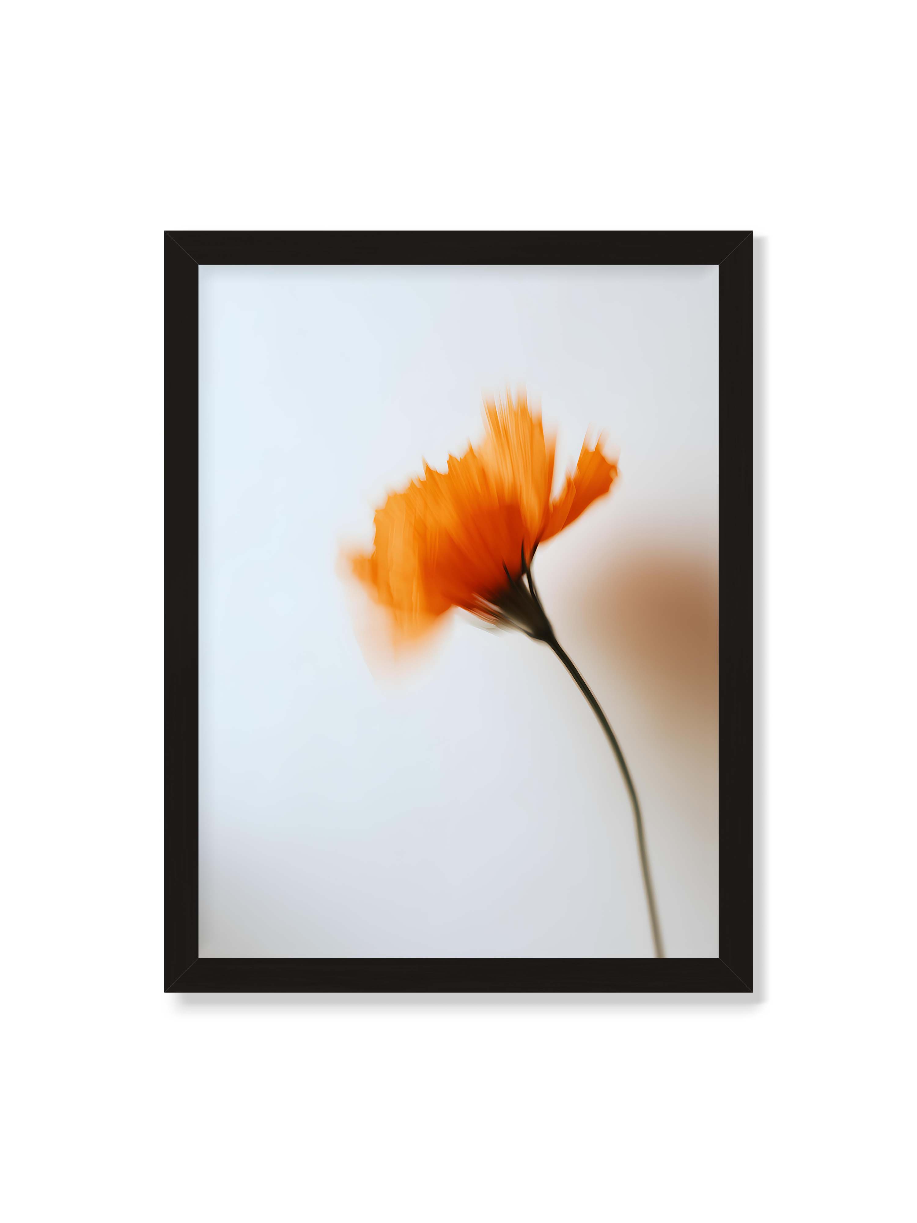 30x40 cm ohne Galerie-Rand mit schwarzem Rahmen – Orange Blüte mit starker Bewegungsunschärfe vor hellem Hintergrund, dunkler schlanker Stiel.