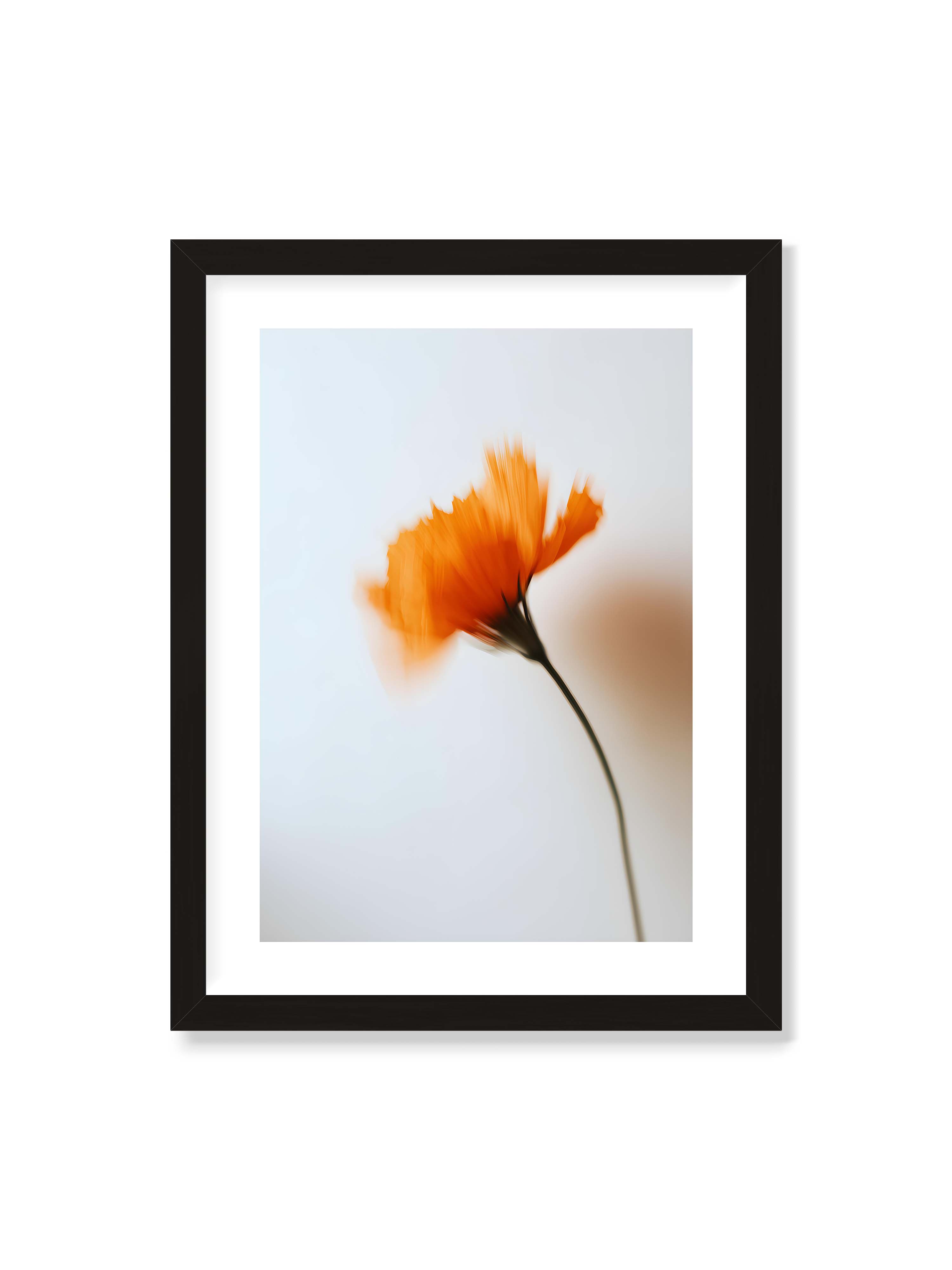 30x40 cm mit weißem Galerie-Rand mit schwarzem Rahmen – Orange Blüte mit starker Bewegungsunschärfe vor hellem Hintergrund, dunkler schlanker Stiel.