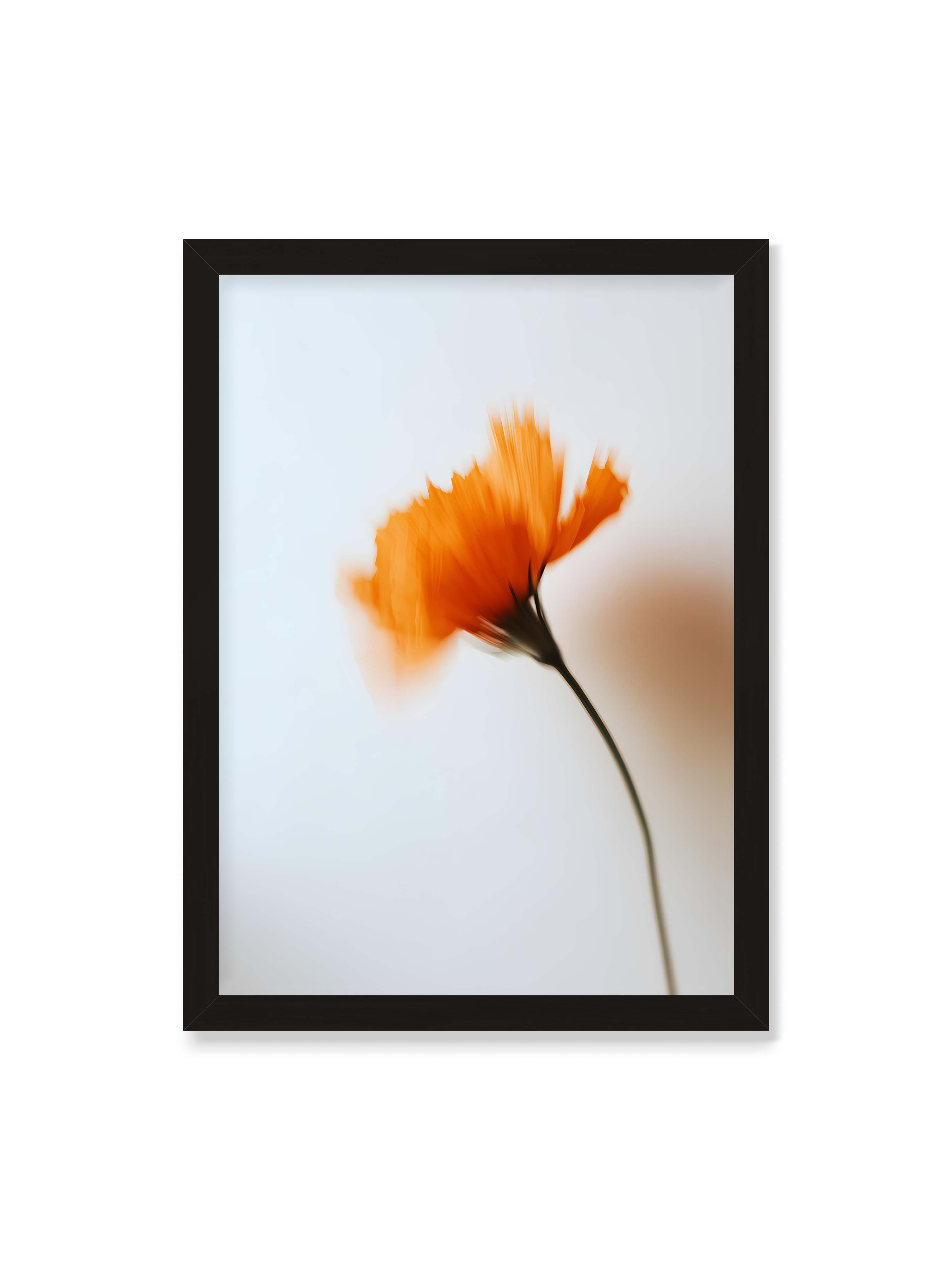 50x70 cm ohne Galerie-Rand mit schwarzem Rahmen – Orange Blüte mit starker Bewegungsunschärfe vor hellem Hintergrund, dunkler schlanker Stiel.