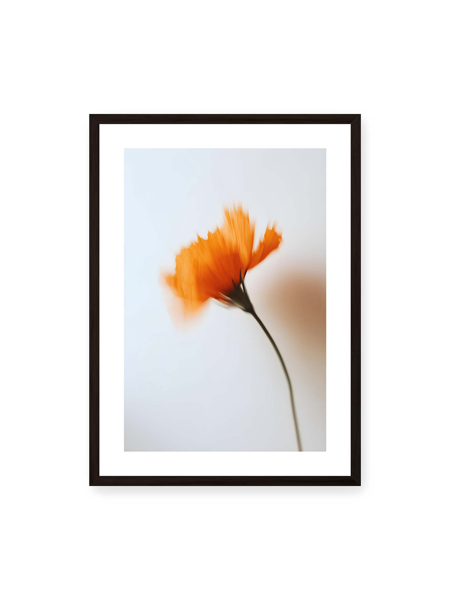 50x70 cm, weißer Galerie-Rand, schwarzer Rahmen – Orange Blüte mit starker Bewegungsunschärfe vor hellem Hintergrund, dunkler schlanker Stiel.